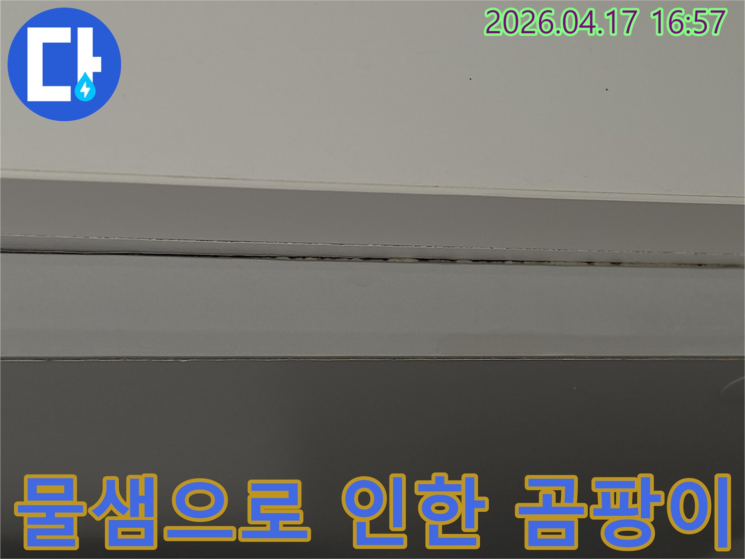 누수-엔지니어가-현장에서-발견한-천장-틈새의-곰팡이-모습을-담고-있습니다.