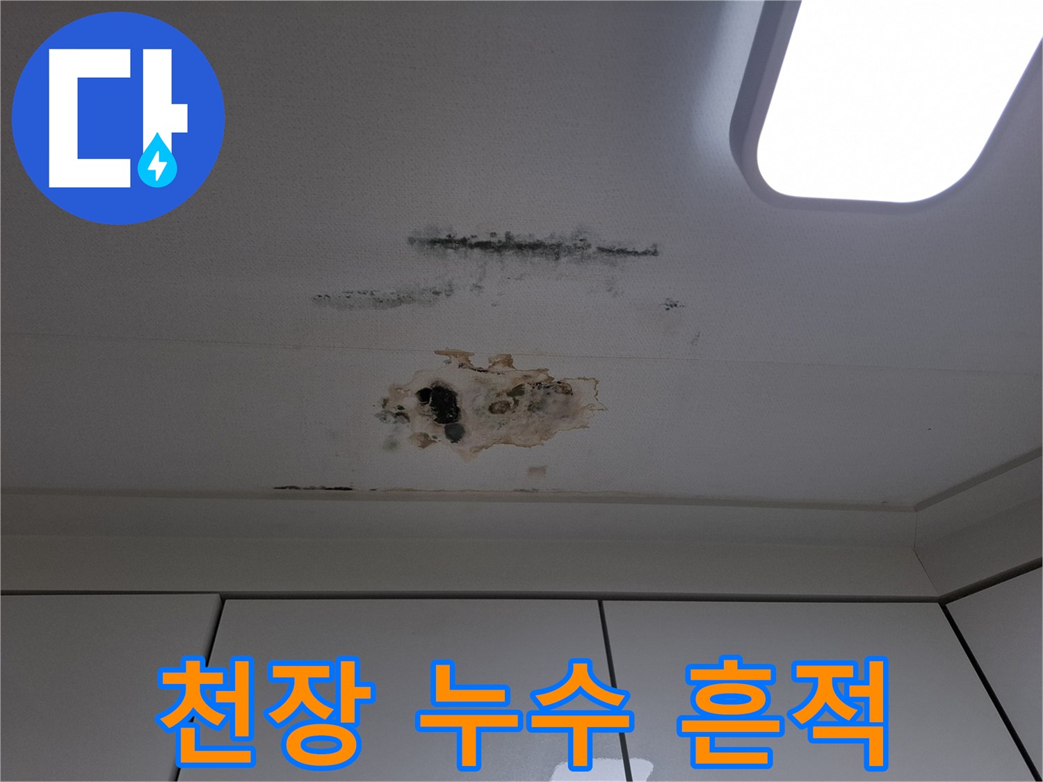 누수로 인해 발생한 천장의 갈색 얼룩과 검은 곰팡이 오염 부위