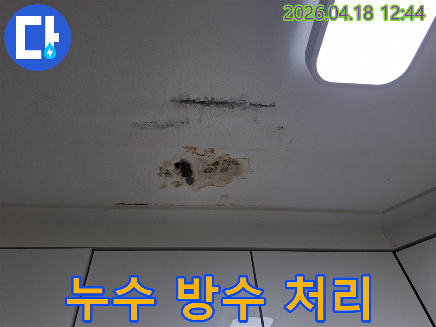 누수로-인해-천장-마감재가-손상되고-곰팡이가-번식한-아파트-천장-부분-꼼꼼한-방수-처리-필요