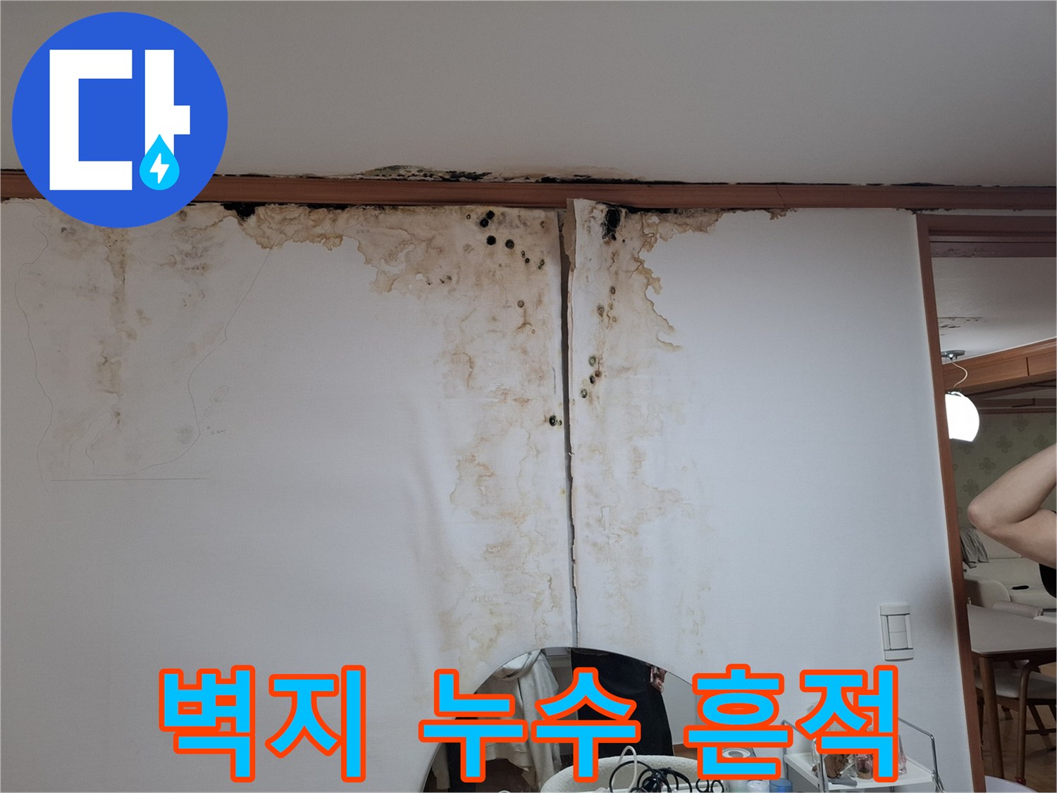 아랫집 천장-물에 젖어 변색된 벽지와 곰팡이 발생 부위