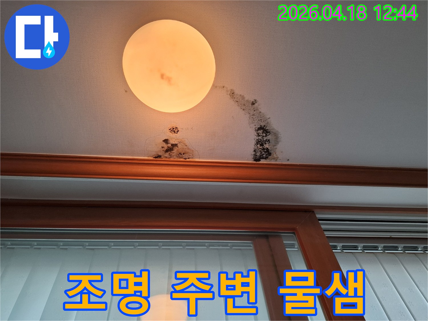아파트-천장에서-물샘-현상이-발견되어-곰팡이가-피어난-모습
