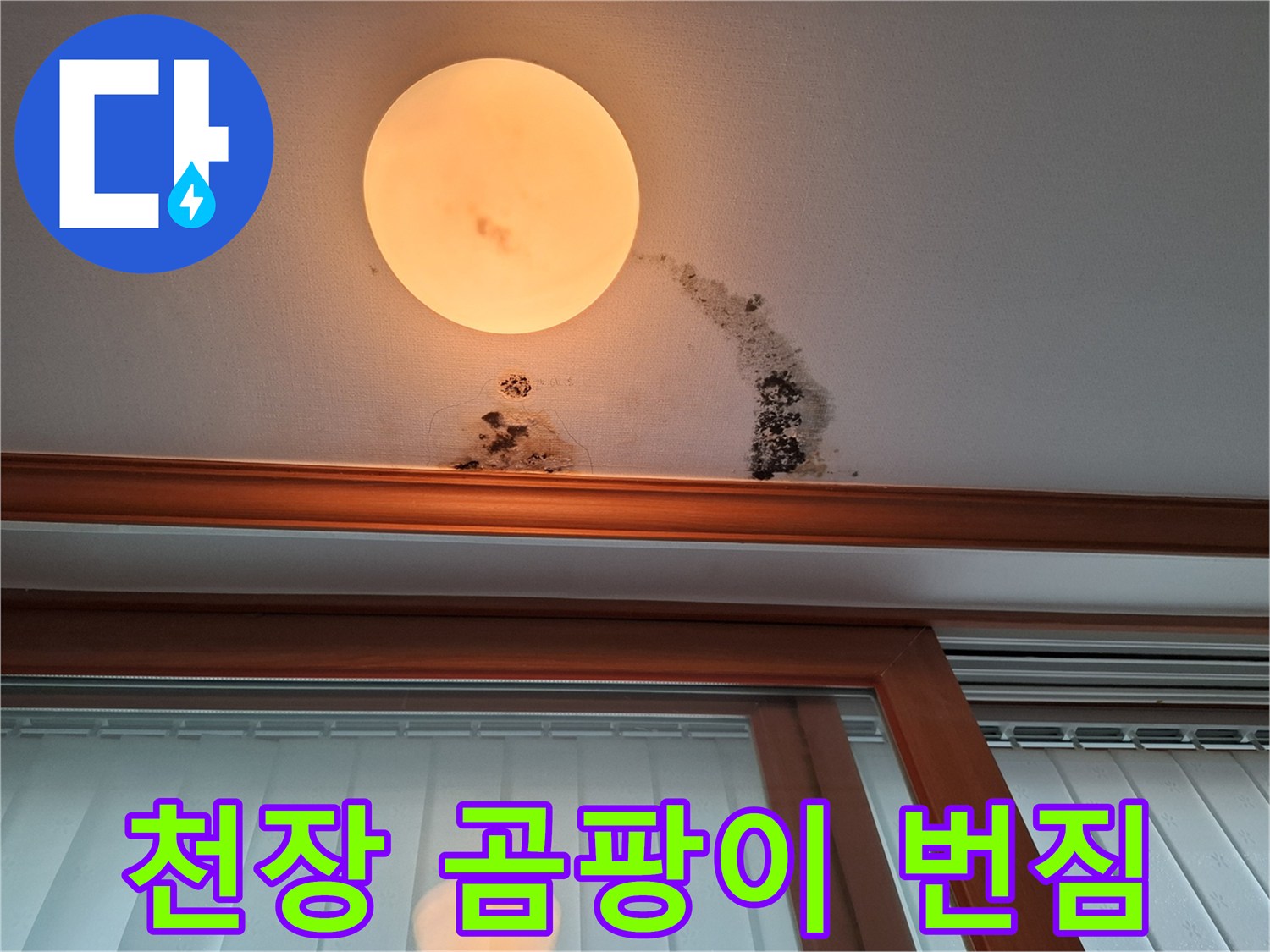 천장 조명 주변-누수로 인한 검은 곰팡이와 물자국