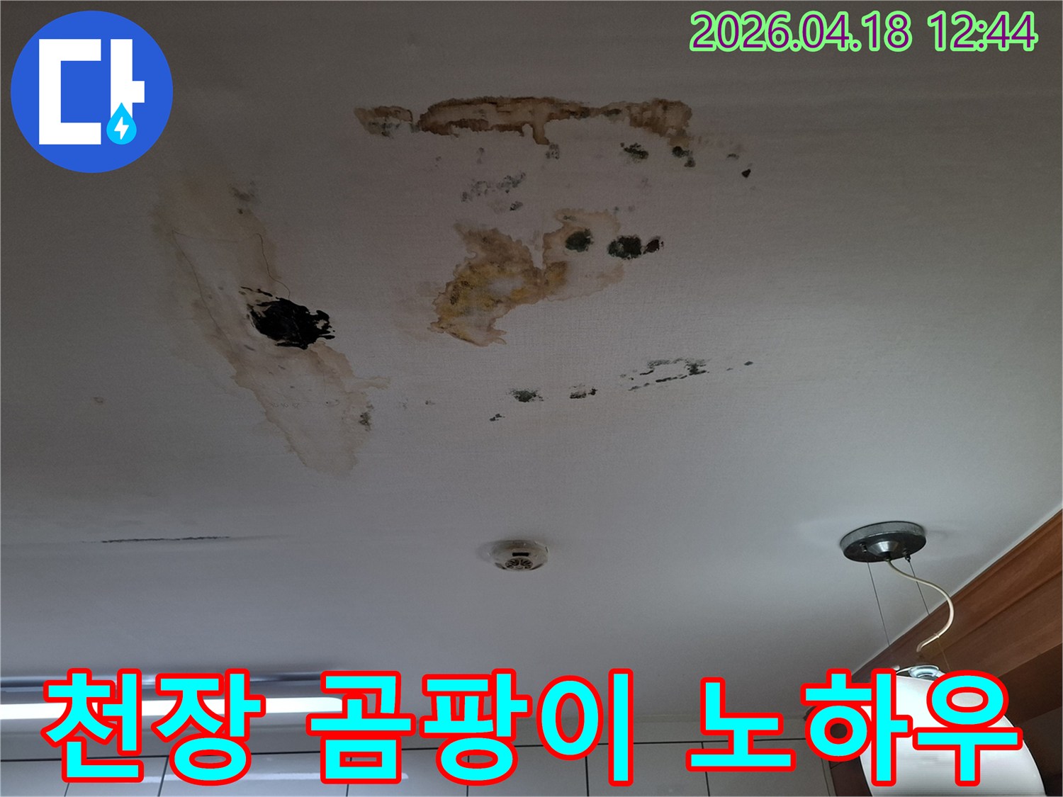 천장에 광범위하게 번식한 곰팡이와-누수로 인한 물자국을 보여주는 현장 사진으로-전문적인 곰팡이 제거 노하우가 필요합니다.
