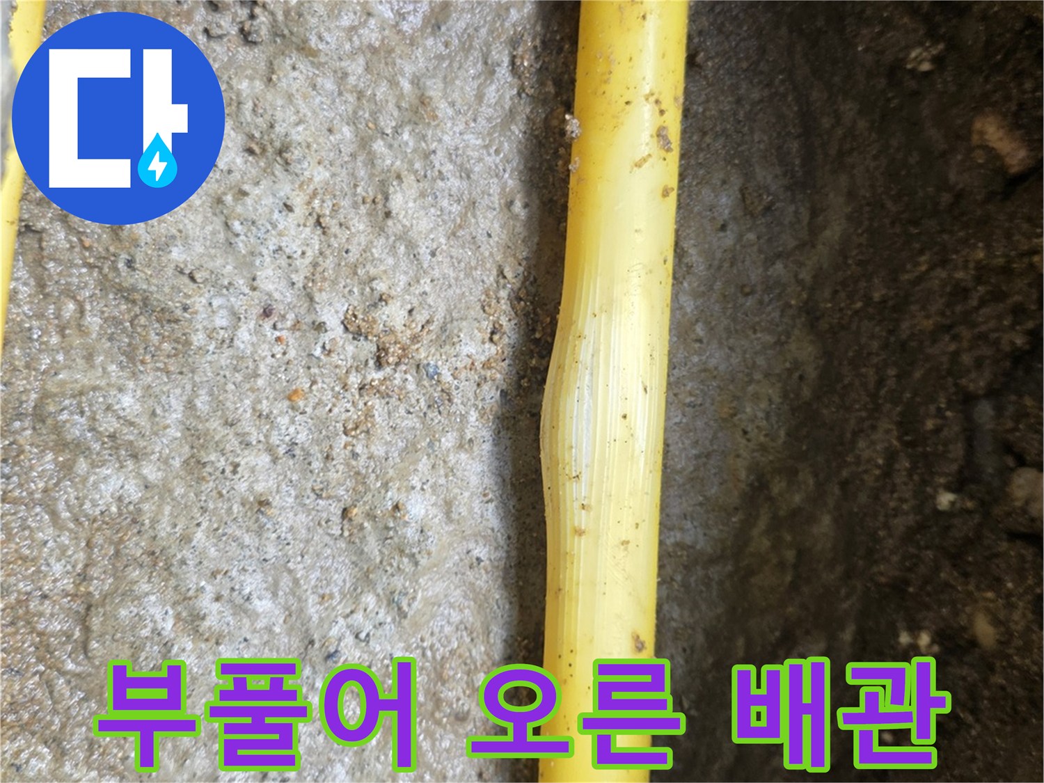 누수 확인 현장-파손된 노란색 배관이 흙 속에서 드러난 사진입니다.
