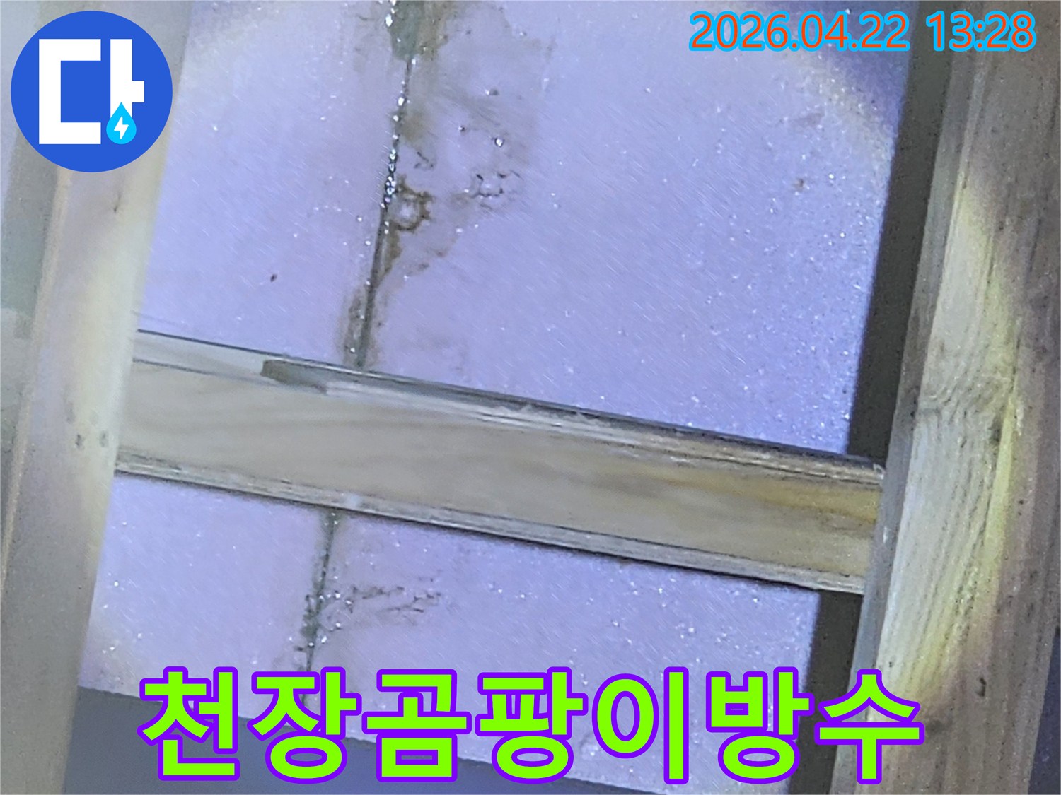 천장-내부-목재와-단열재에-곰팡이가-피어있는-누수-현장-사진입니다