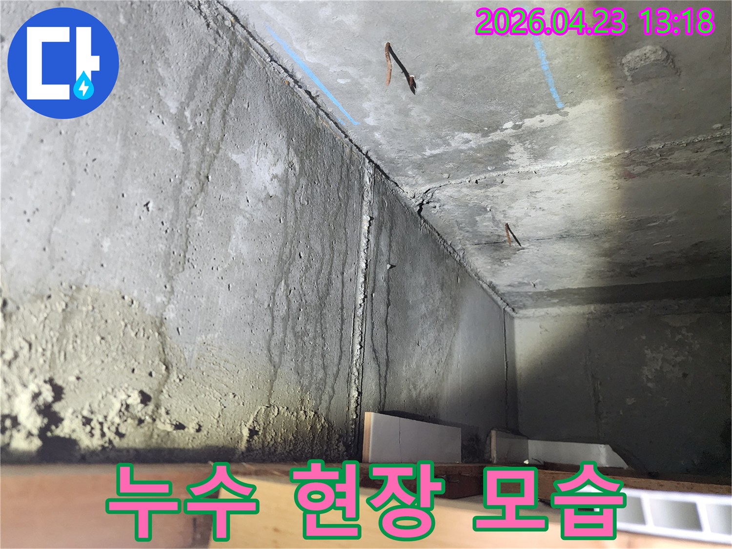 누수-탐지-후-발견된-벽과-천장의-심각한-물샘-증상입니다.