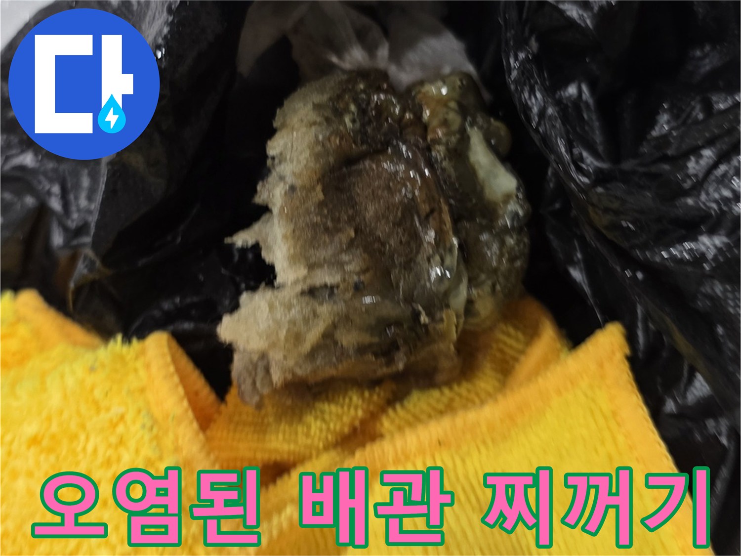 배수구에서 추출한-심각하게 오염된 슬러지 잔해