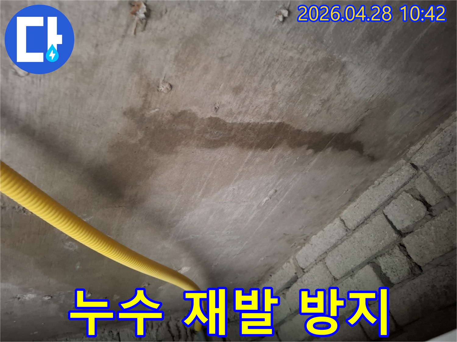 성남 분당 아파트 아랫집 화장실 천장에-발생한-누수로-인해-젖은-콘크리트와-배관-모습