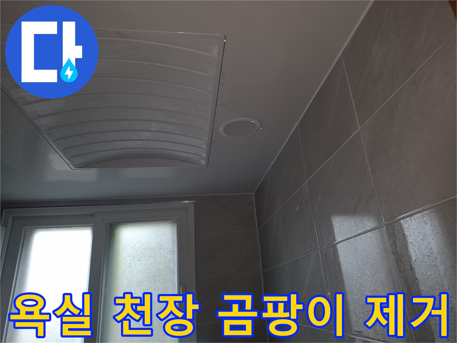 성남 분당의-아랫집 욕실 천장에-누수로 인한-곰팡이가-발생하여-원인을 제거하고-복구하기 위해-촬영된-이미지입니다
