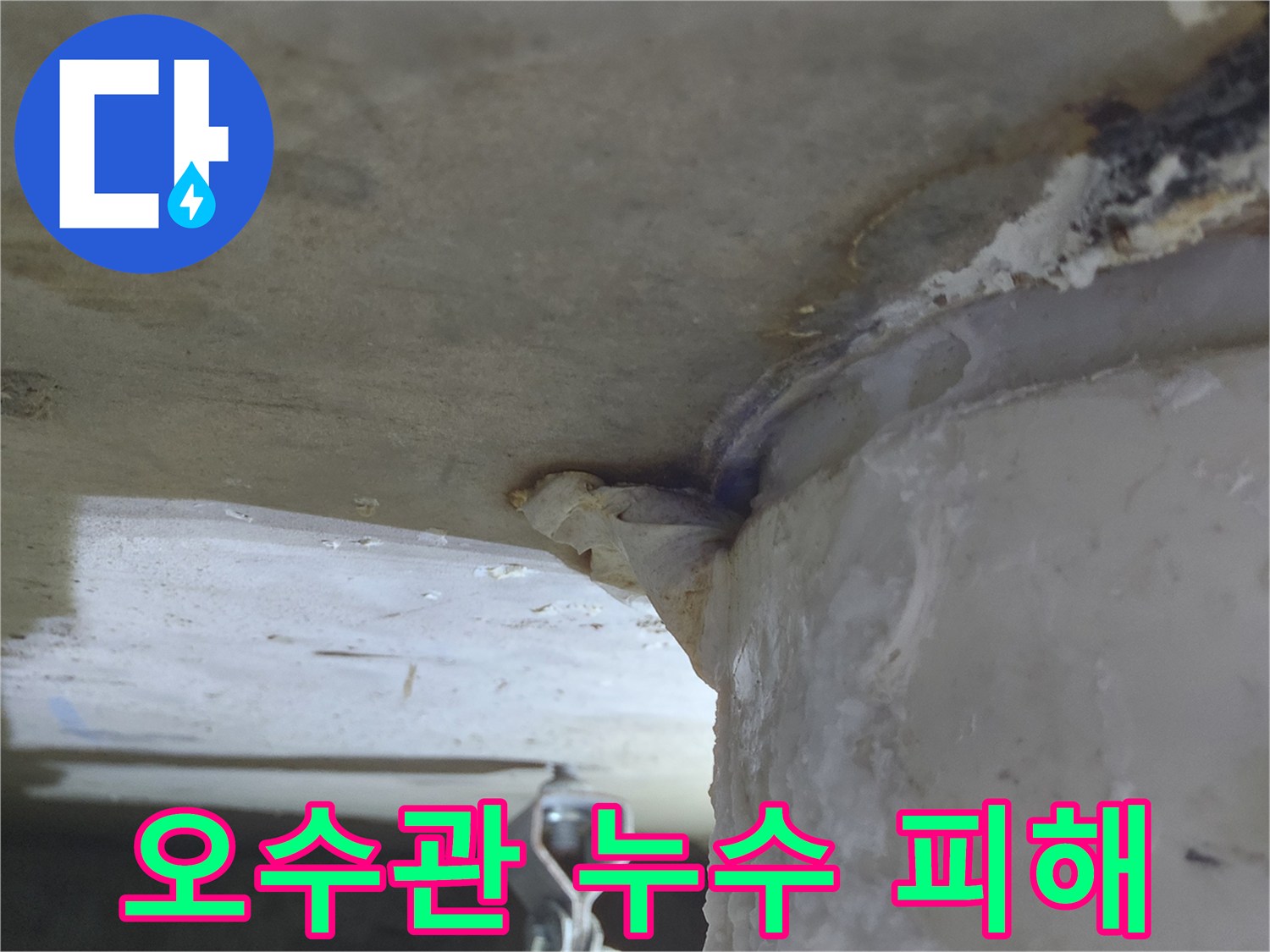 오수관에서-물이 새어 나와-천장으로-흐르는-누수 현장-피해 복구
