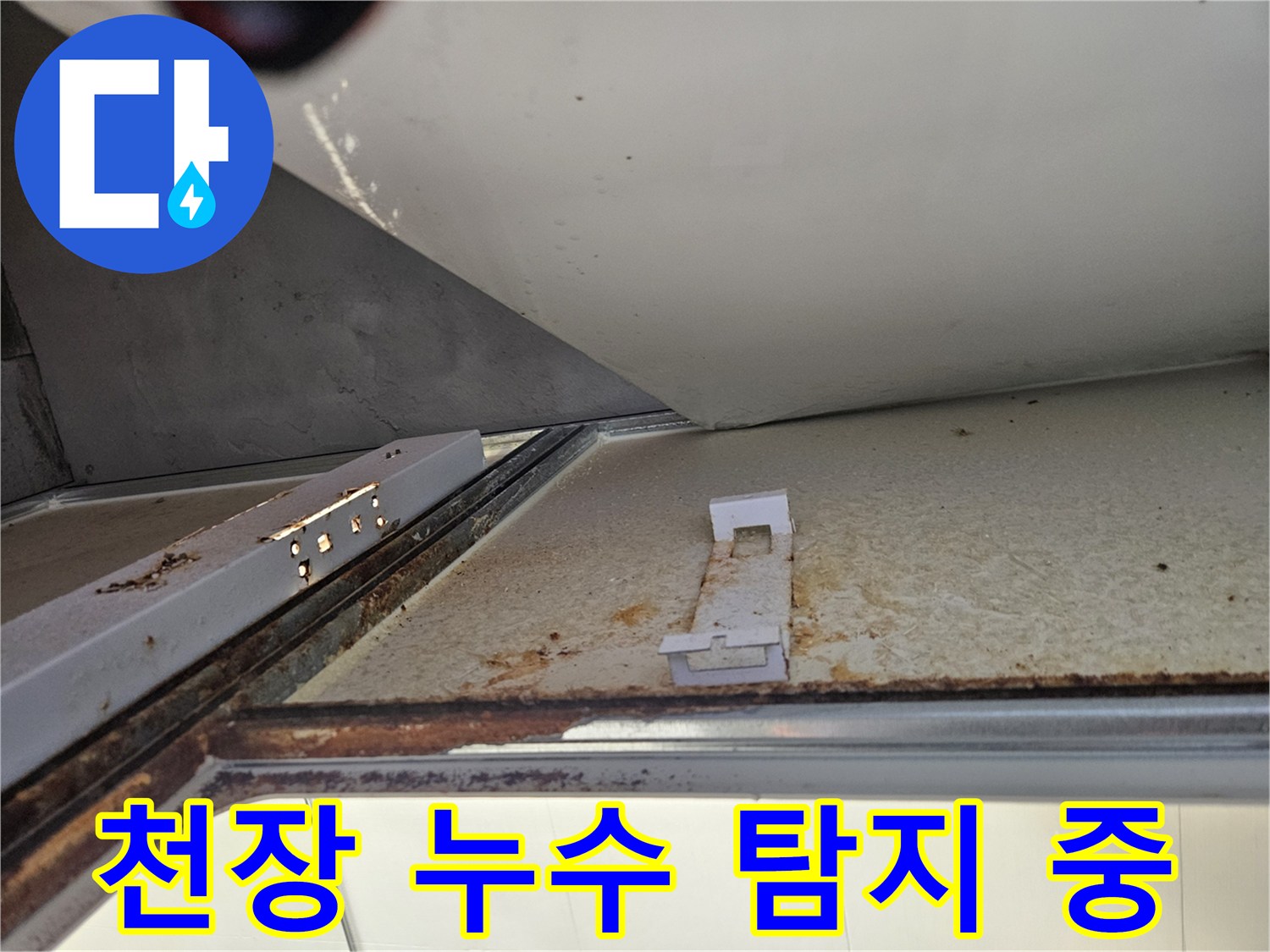 김포 아파트 욕실 천장에서 누수 탐지 중-녹슨 부위와 물자국 확인