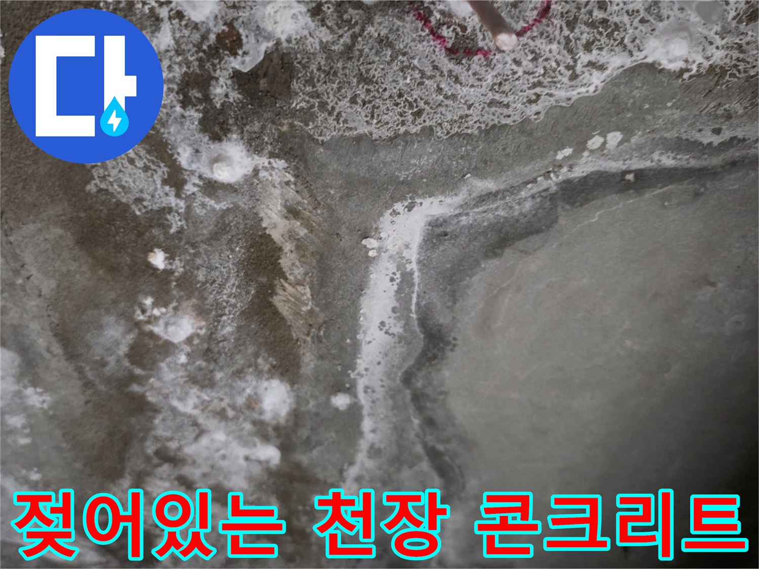 물샘-현상으로-하얗게-부식된-천장-슬래브