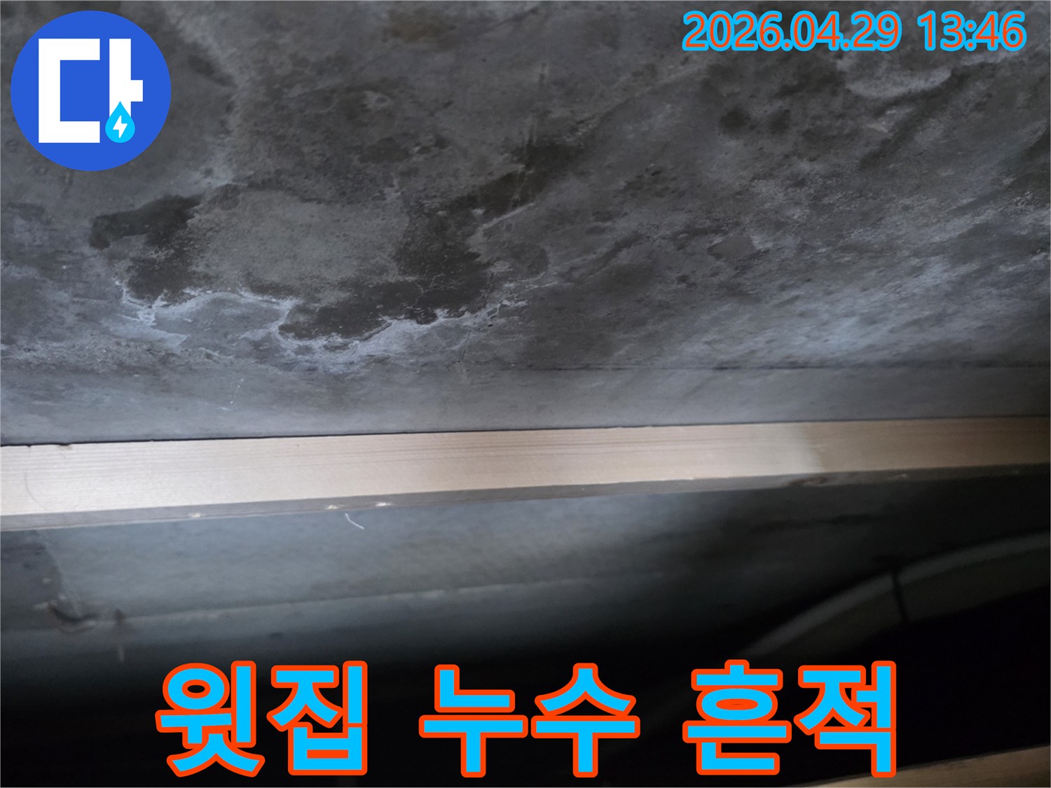 천장 콘크리트 표면에 물이 새어 생긴 얼룩과-하얀 백화 현상이 뚜렷하게 관찰되는 모습입니다.