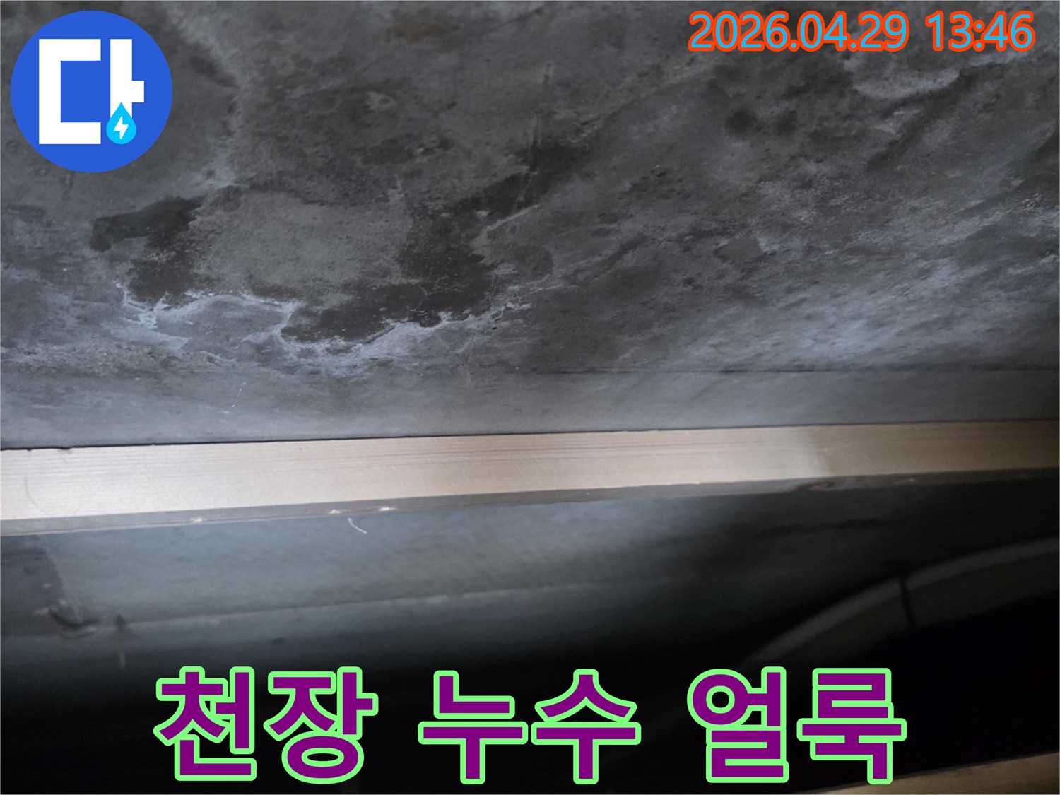콘크리트 천장에 물이 새어 생긴 어두운 얼룩과-하얀 백화 현상이 뚜렷하게 보이는 사진입니다.