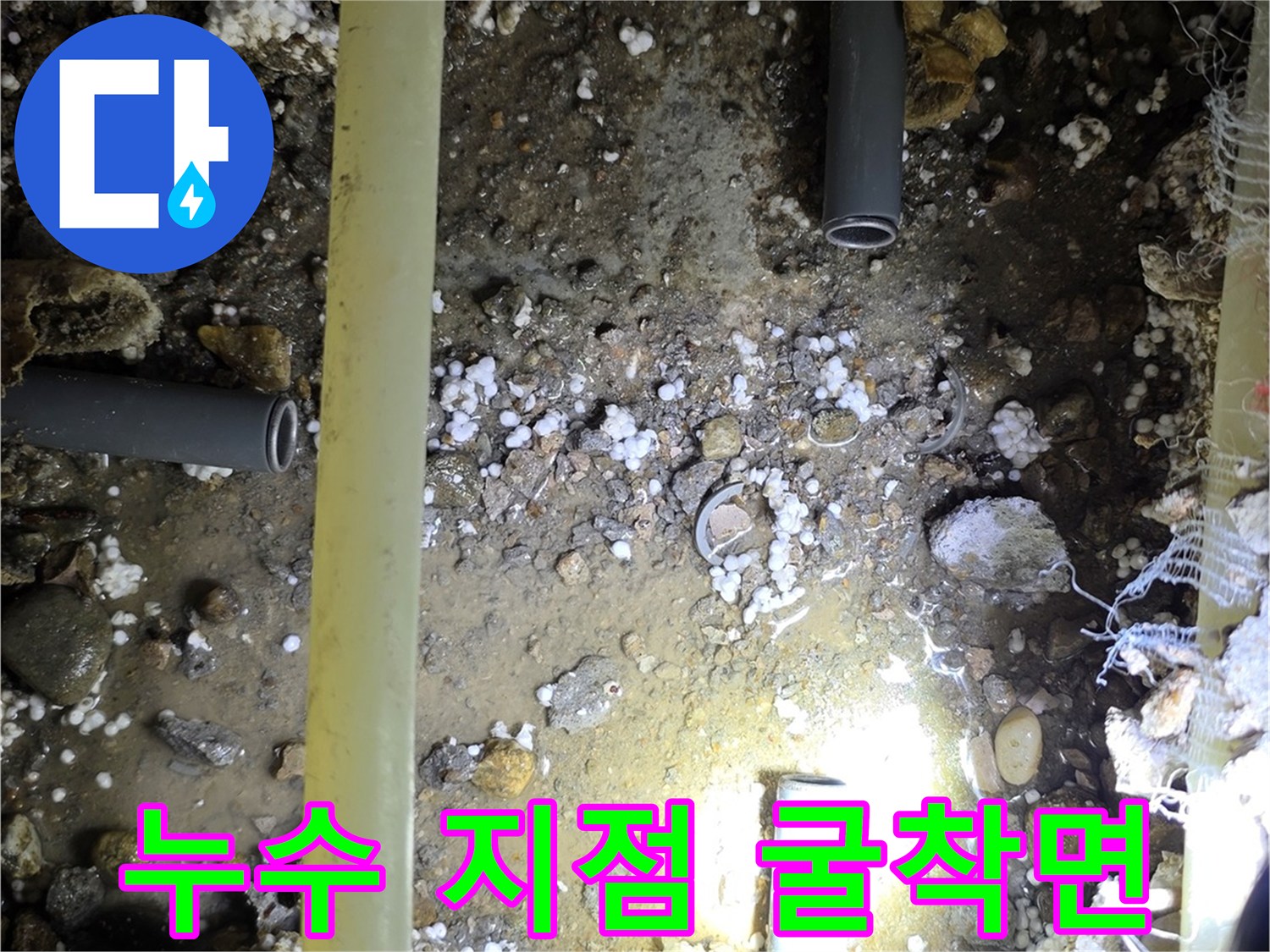 배관 주변의 습한 토양과 고여 있는 누수수량 확인