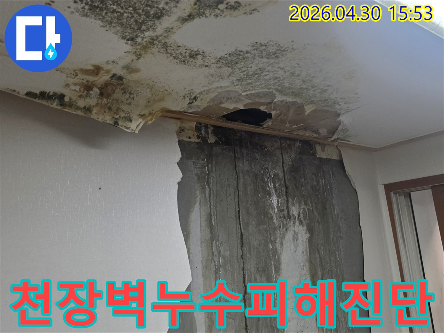 천장과 벽에 물이 새어 벽지가 훼손되고 곰팡이가 번식한 심각한 누수 피해 현장을 보여주는 사진입니다.