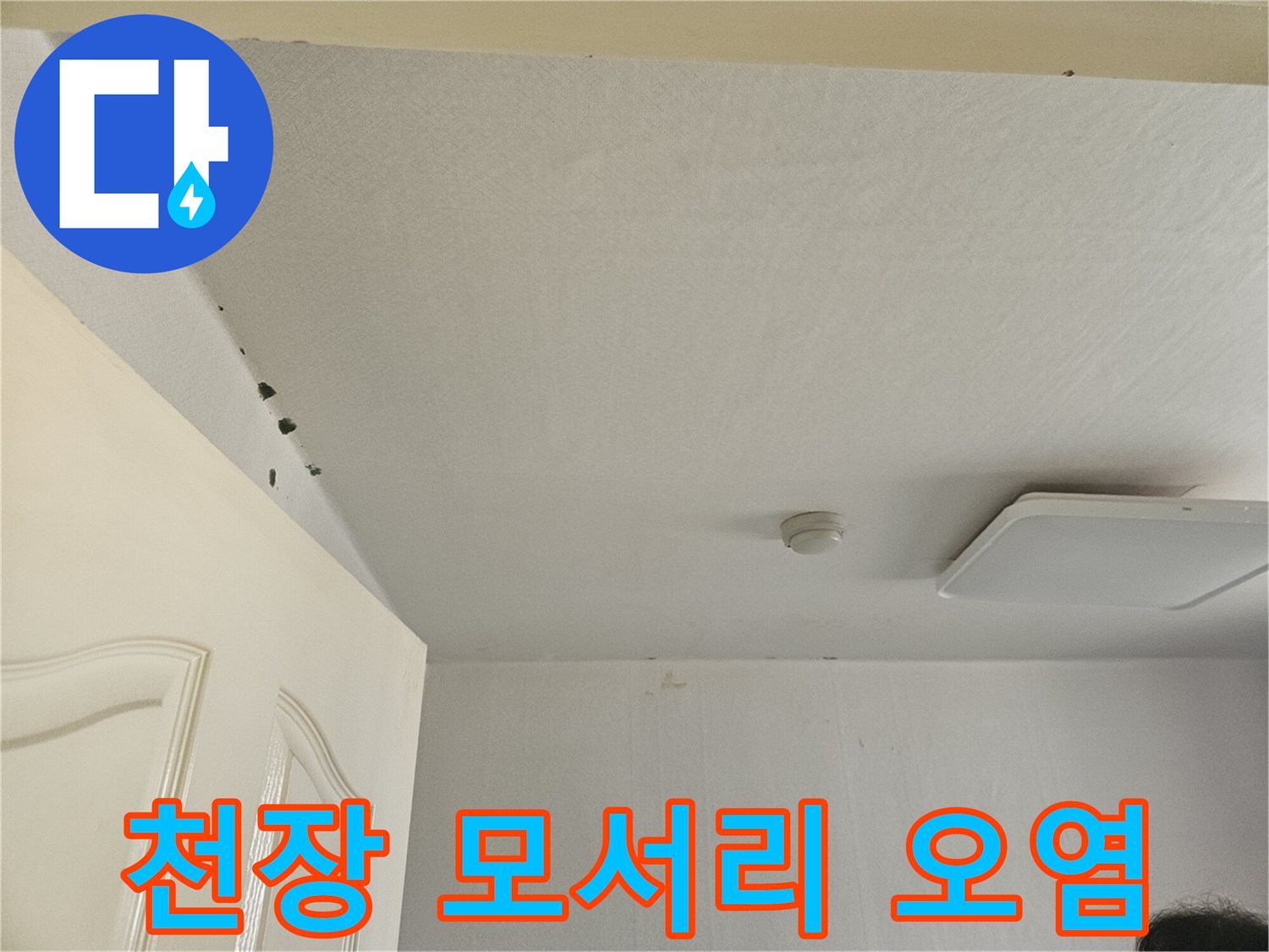 아파트 거실 천장-물샘으로 인한 곰팡이 및 변색 부위