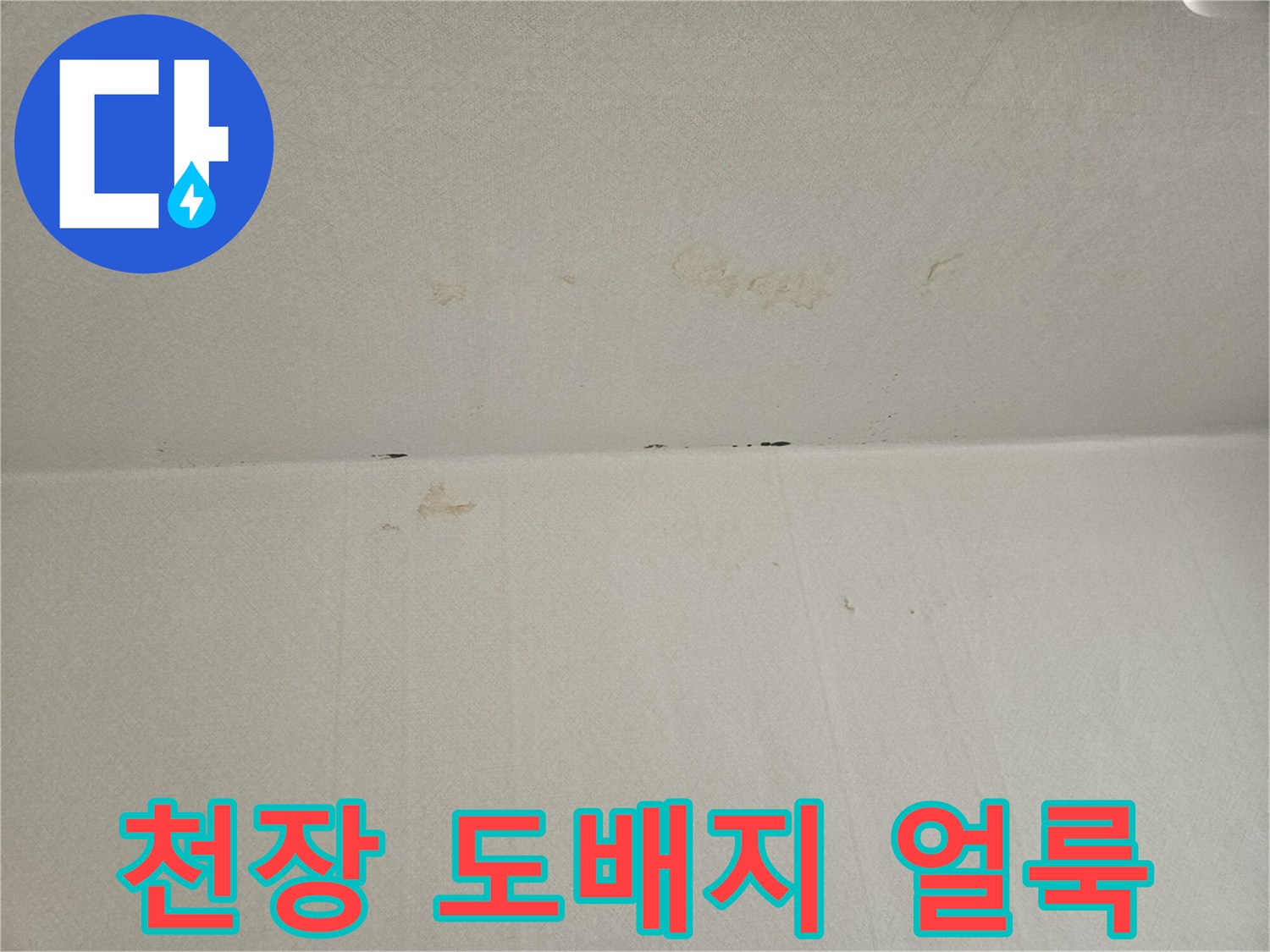 아파트-천장-도배지-물샘-및-변색-상태