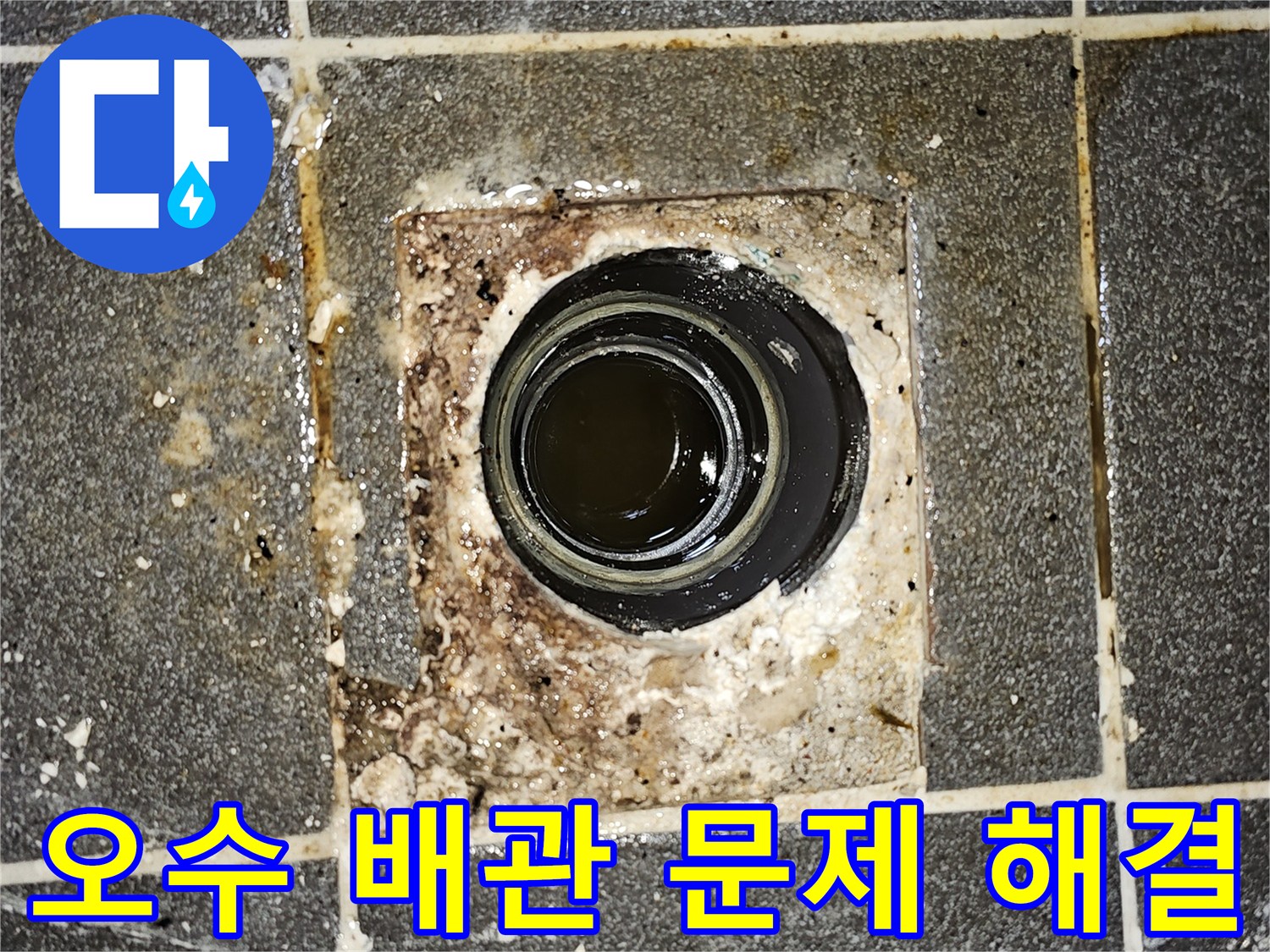 오수 배관에서 물이 역류하여-바닥에 고여있는-심각한 배관 문제를 보여주는 현장 사진입니다.