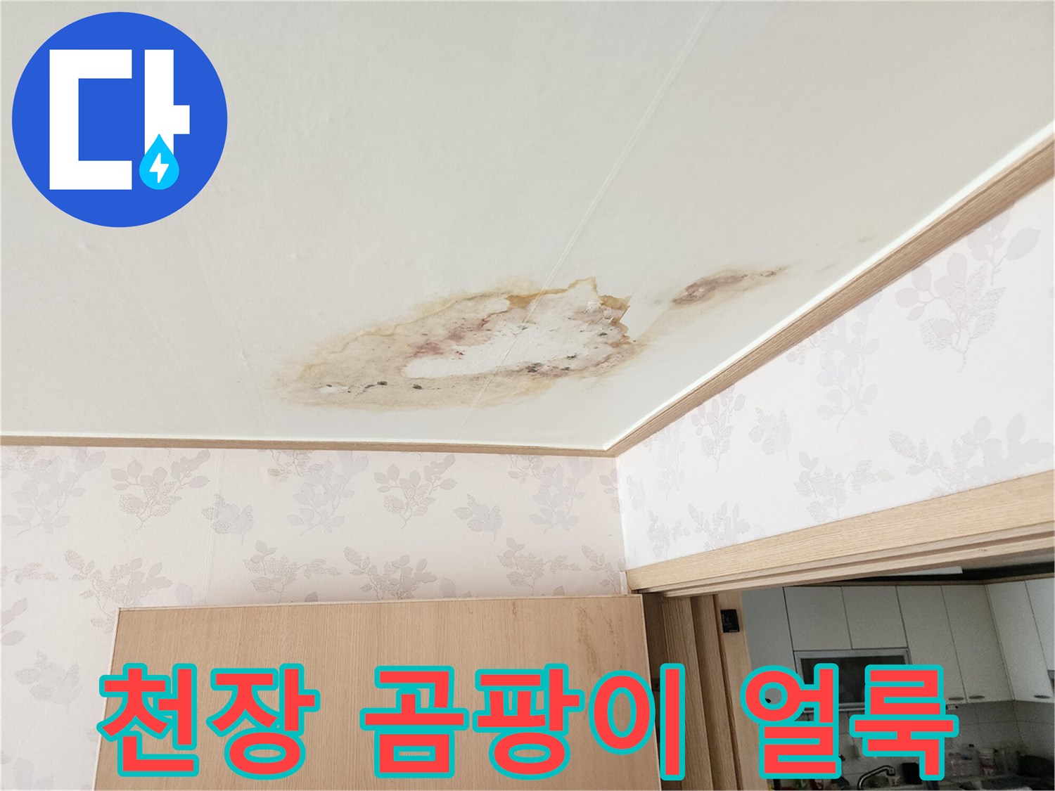 아래층 거실 천장 벽지에 나타난 누수 변색과 오염 부위