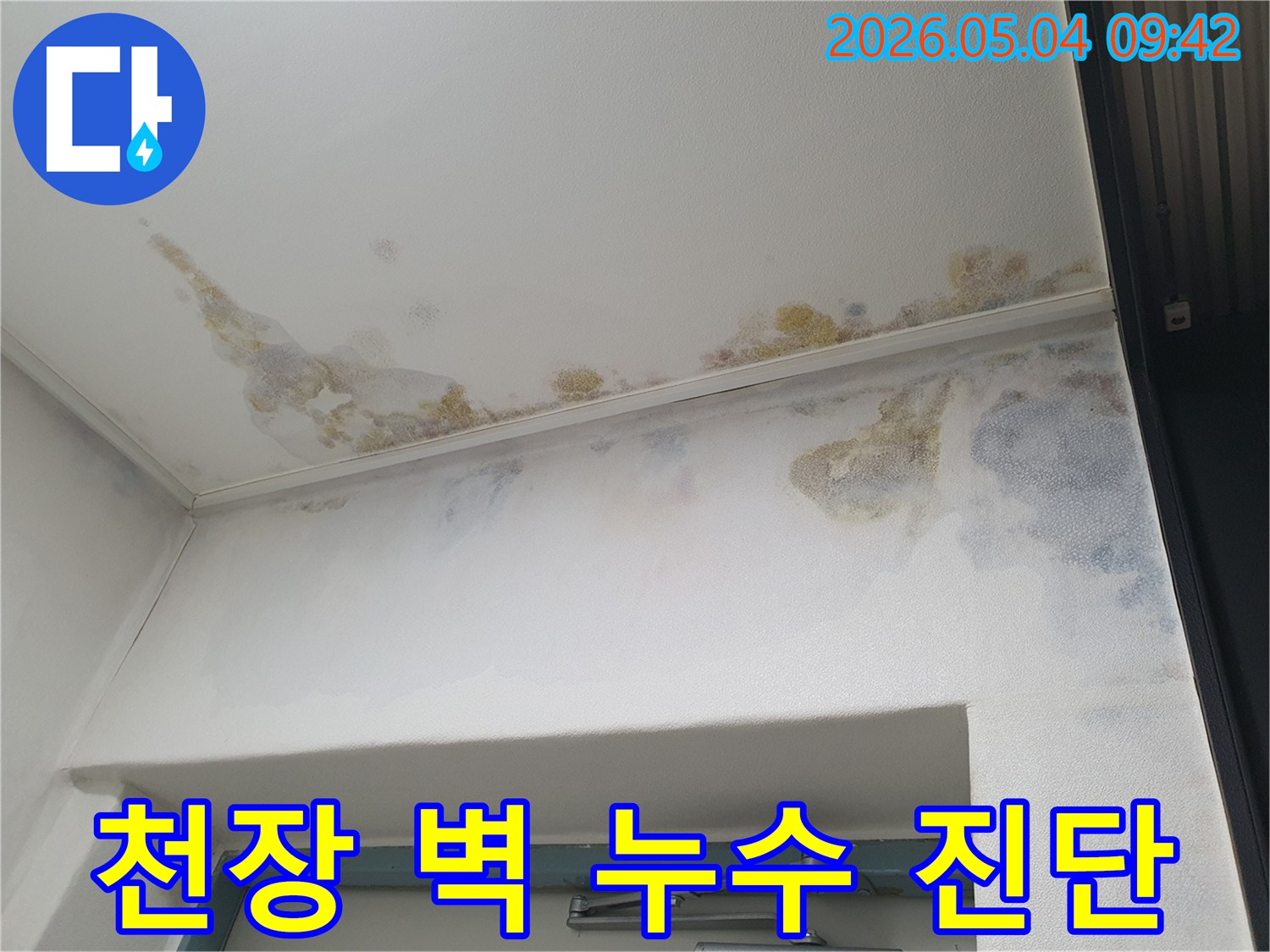 아파트-천장과-벽에-누수로-인한-얼룩과-곰팡이가-생겨-정밀-진단이-필요한-현장