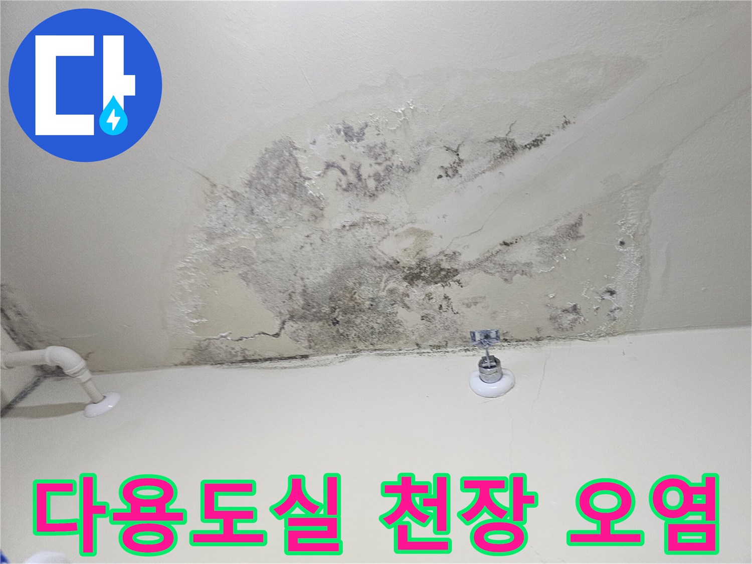 곰팡이와 변색으로 오염된 다용도실 천장 부분