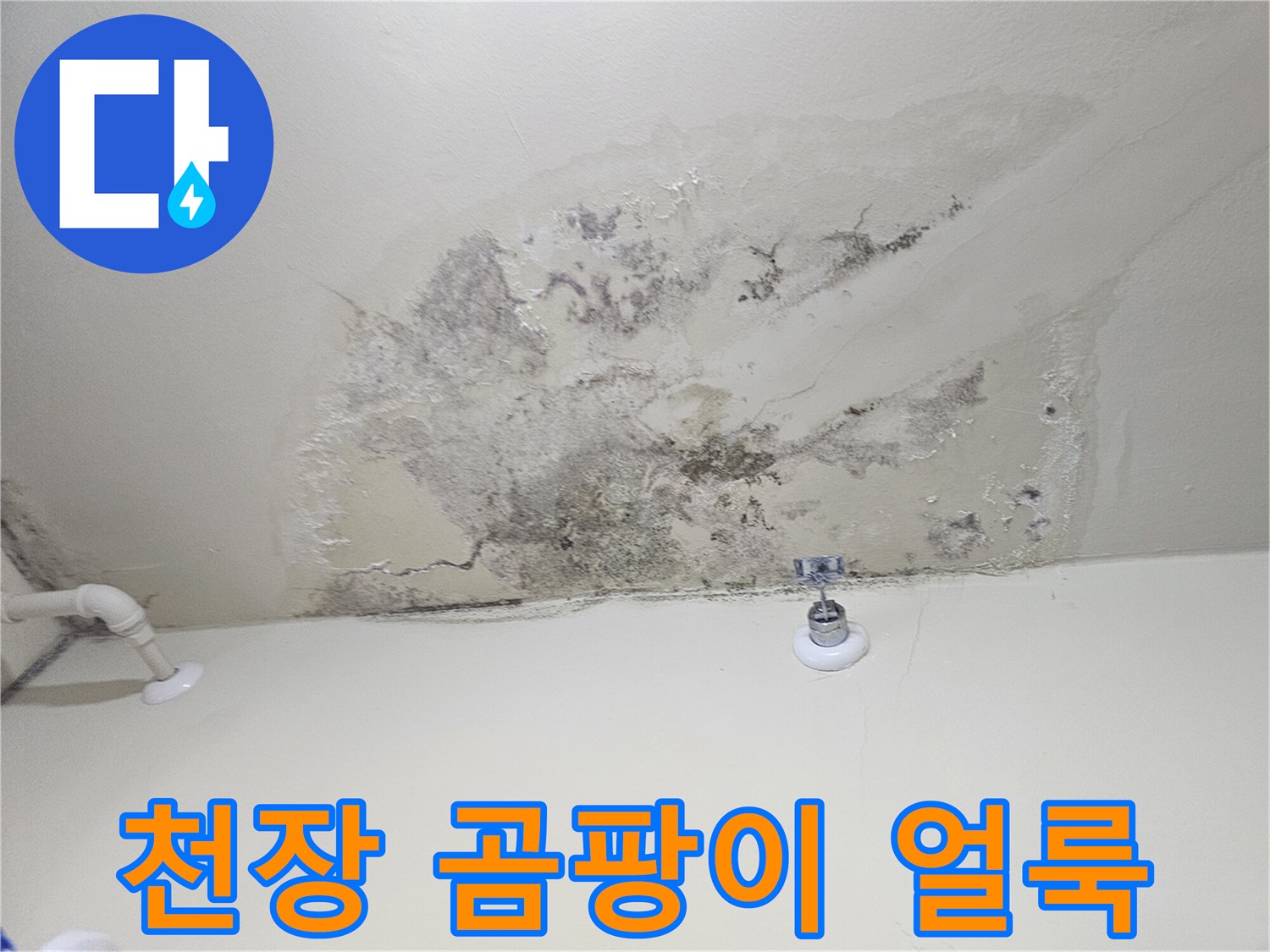 심하게 오염된 다용도실 천장의 곰팡이와 변색 부위