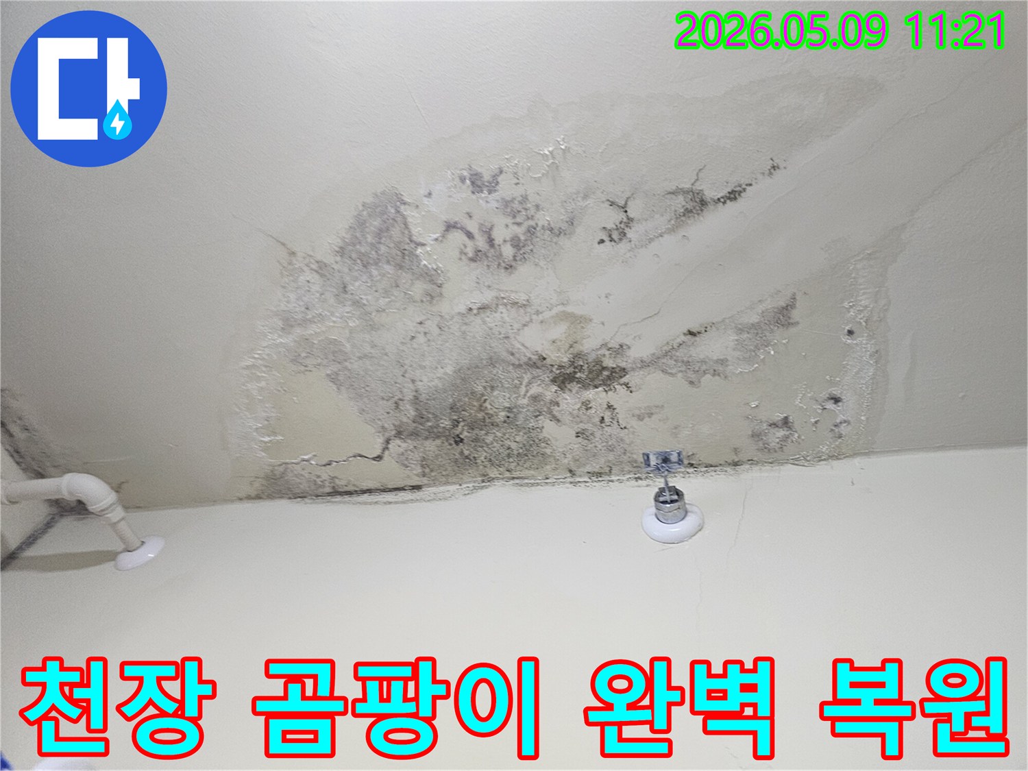 천장 누수로 인해 발생한-곰팡이와 벽지 손상을 상세히 보여주는 사진입니다