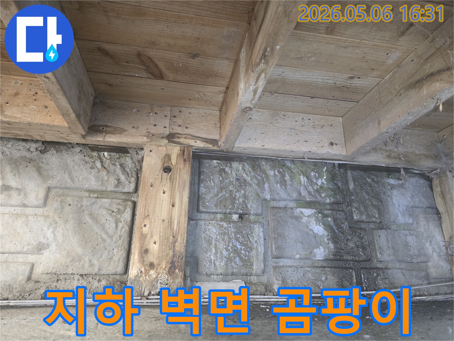 지하 벽면에-물기가 스며들어-곰팡이가 광범위하게-발생한-누수 현장의 모습