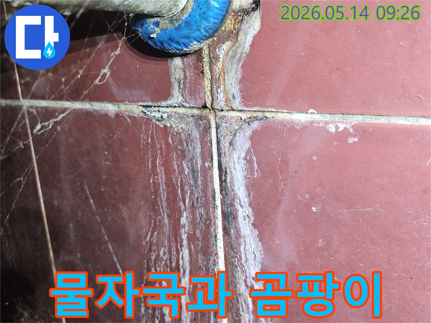 벽면 타일과 배관 연결부에서-장기간 지속된 누수로 인한-하얀 결정체와 검은 곰팡이-피해 상황을 보여주는 이미지