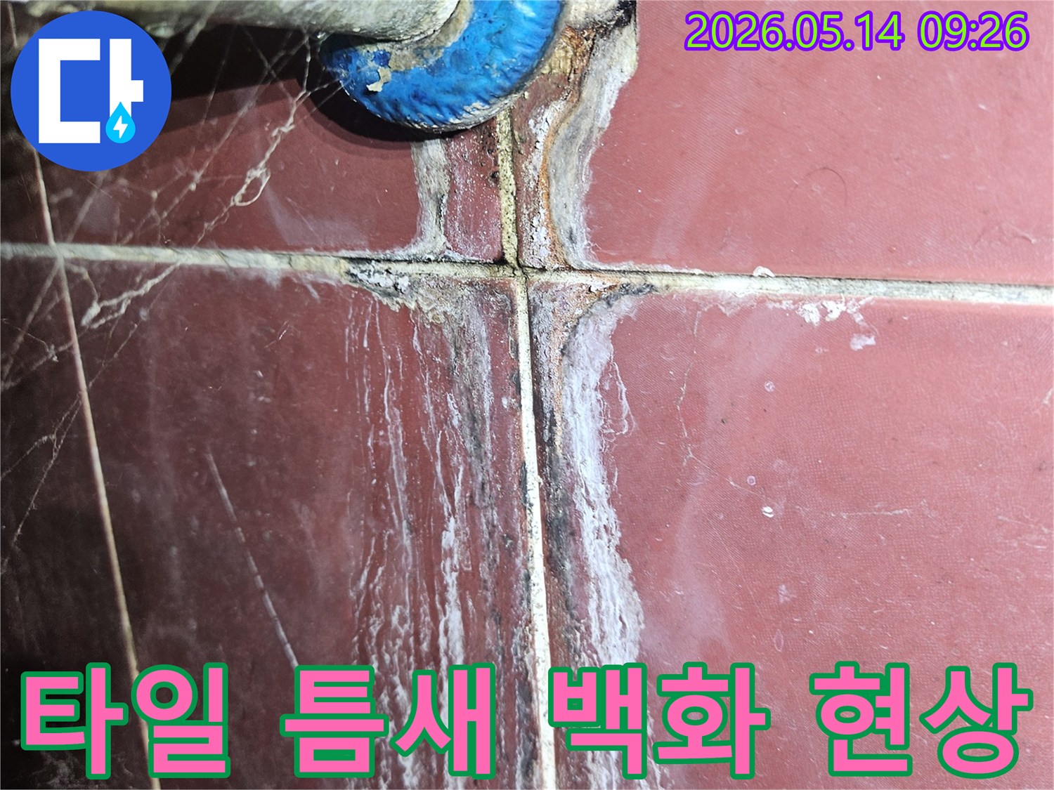 오래된 타일 틈새와 배관 연결부에서-발견된 누수-백화와 곰팡이가 광범위하게 퍼진 모습