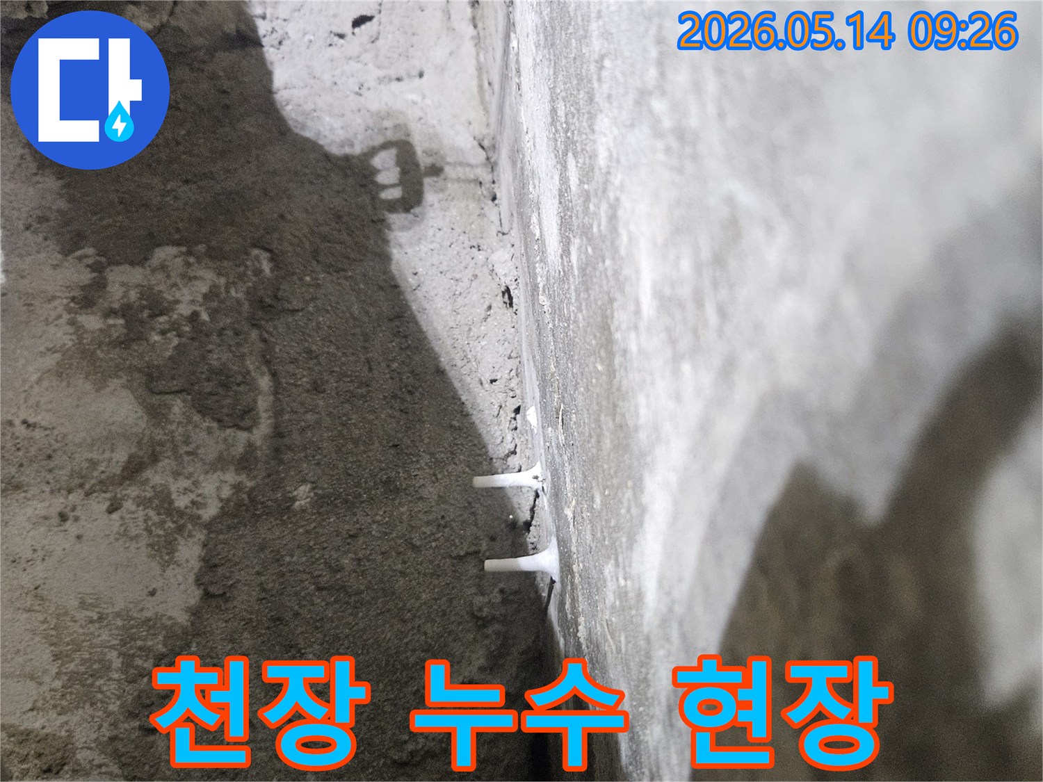콘크리트 천장에서 물방울이 맺혀 떨어지는-누수 현장을 생생하게 보여주는 이미지입니다