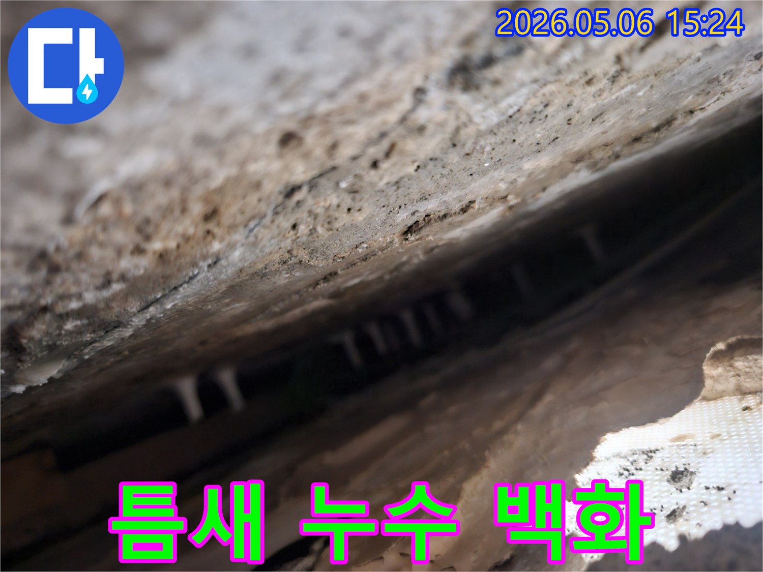 건물-틈새-안쪽에서-발견된-누수로-인한-하얀-석회질-침전물을-확대하여-보여주는-사진입니다