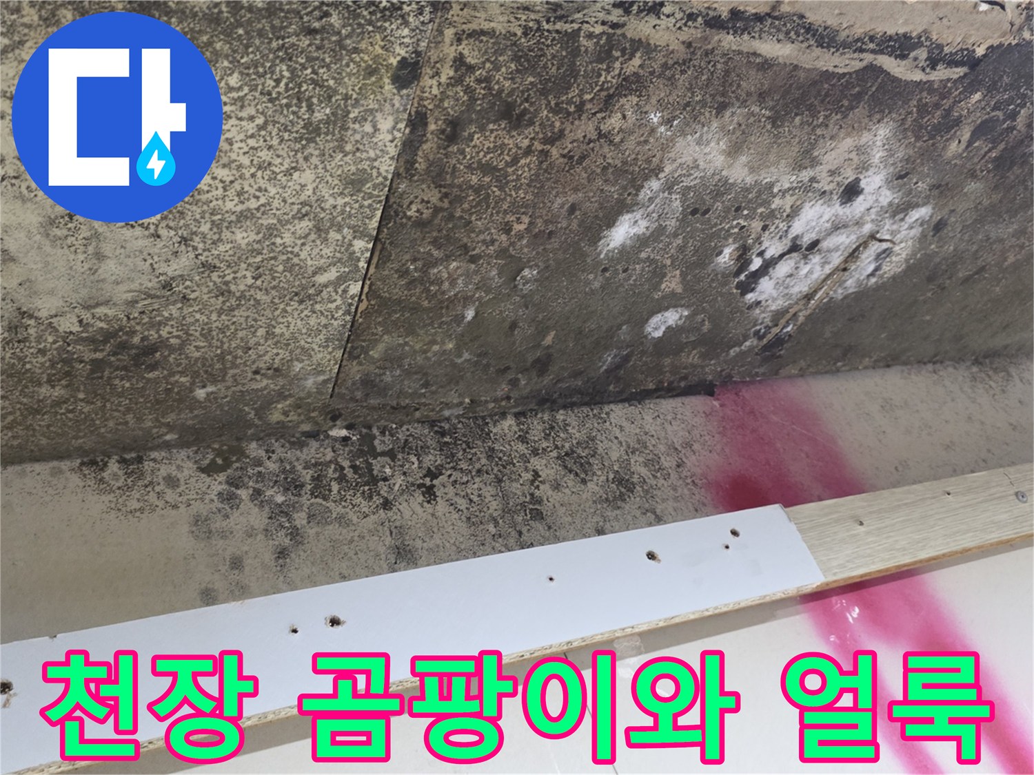 심각한 곰팡이 오염-천장 마감재의 변색 부위