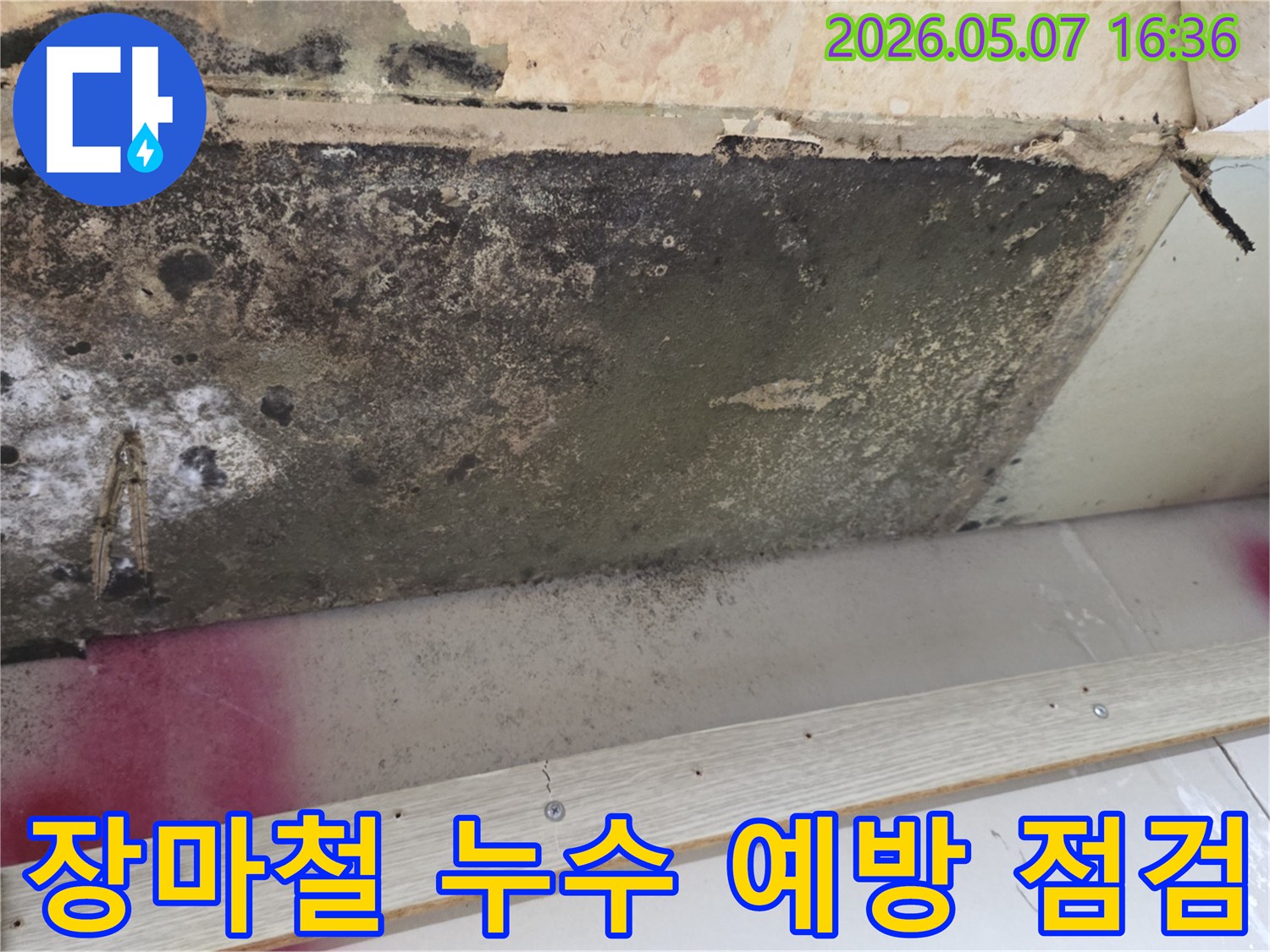 천장-누수로-인한-곰팡이-발생-현장-장마철-대비-누수-점검-필요