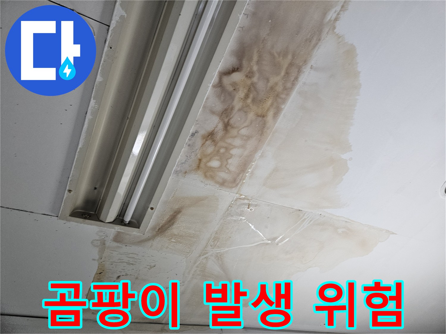 천장-누수로-인해-습기가-차서-곰팡이-발생-위험이-높음을-보여주는-사진입니다
