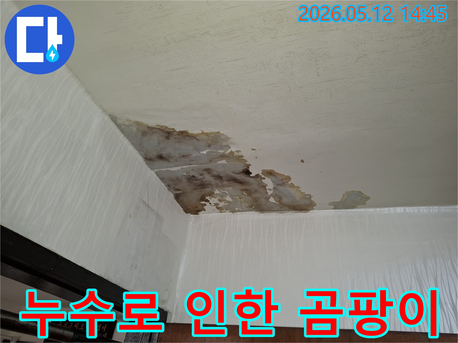 물이 새어-천장과 벽에-얼룩이 생기고-마감재가-손상된-아파트 누수-현장의-실제 모습입니다