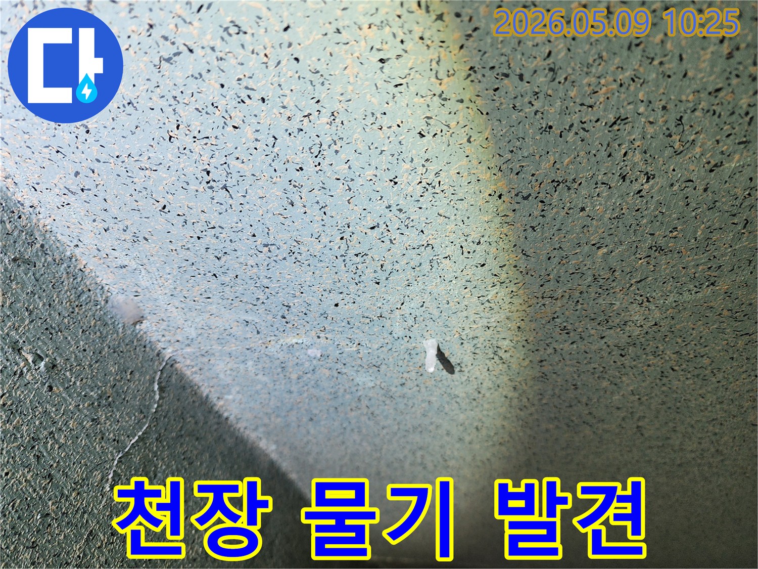 천장-표면에-물기가-흥건한-누수-현장을-정밀하게-조사하는-전문가의-모습