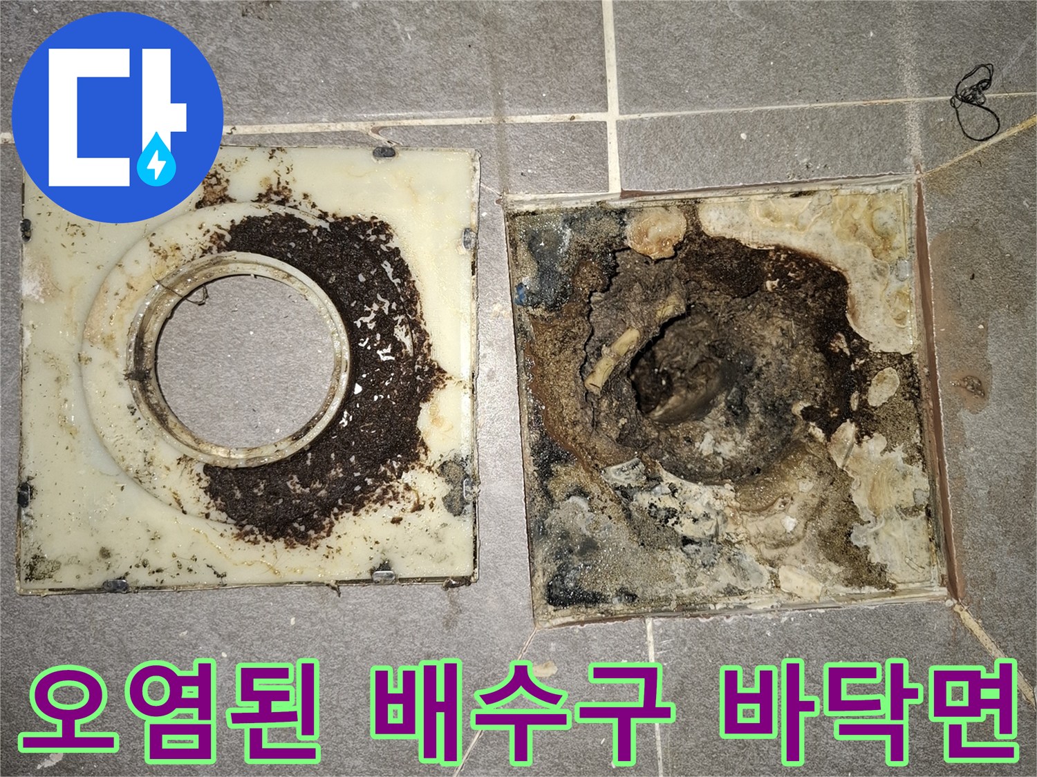 이물질과 곰팡이로 오염된 배수구 주변 바닥 상태