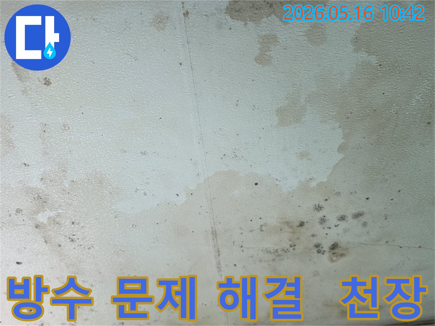 누수로-인해-천장에-생긴-물-얼룩과-곰팡이-피해-현장-사진