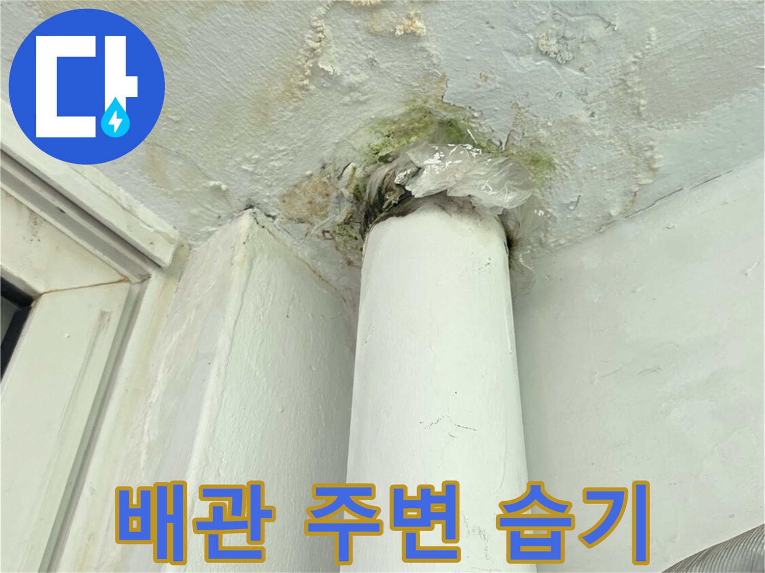 누수로 인해 곰팡이가 번진 배관 근처 벽면 사진
