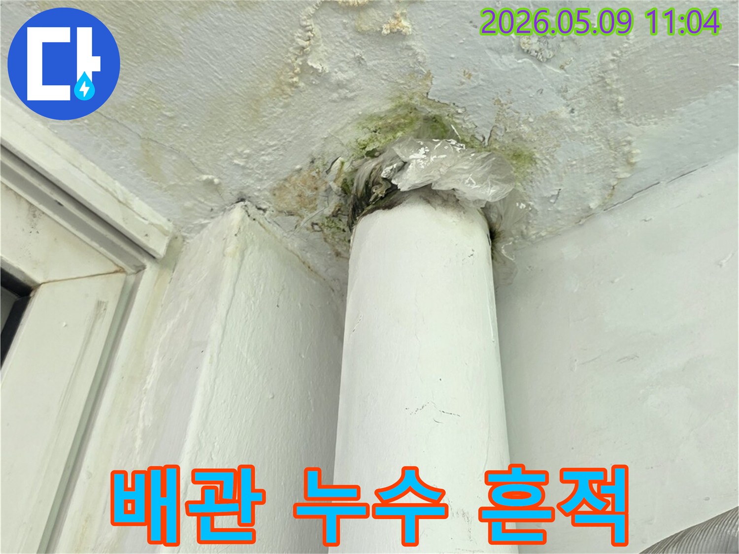 배관 누수로-인해 벽면과-파이프 주변에-발생한 물자국과-심각한 곰팡이-피해 현장