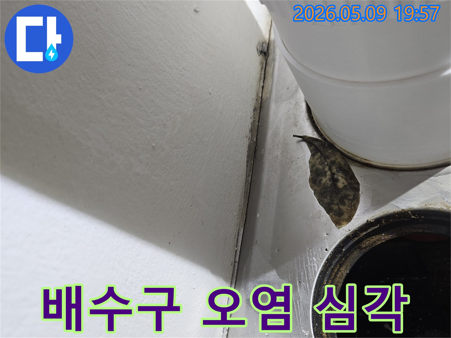 배수구 주변의-짙은 오염과-이물질은-장기간 물샘 현상으로-인한 피해를-보여주고 있습니다.