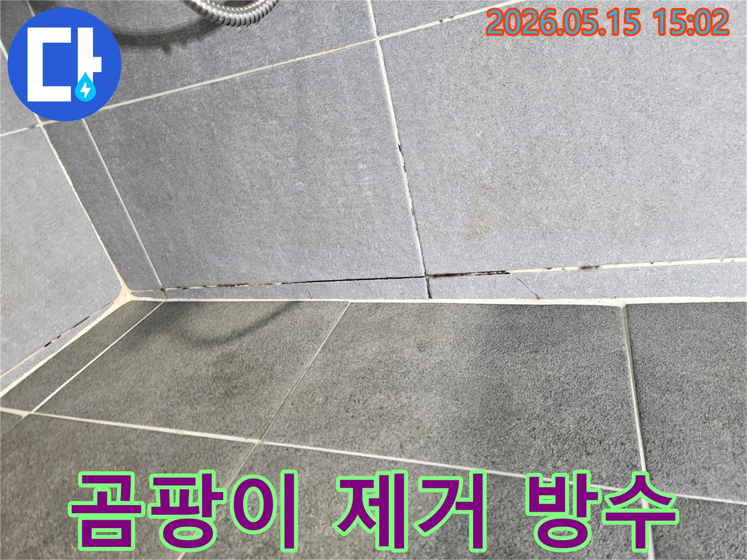 화장실-타일-틈새에-생긴-곰팡이를-제거하고-방수-작업을-진행하는-모습-누수-예방-및-위생-관리를-위한-필수-과정