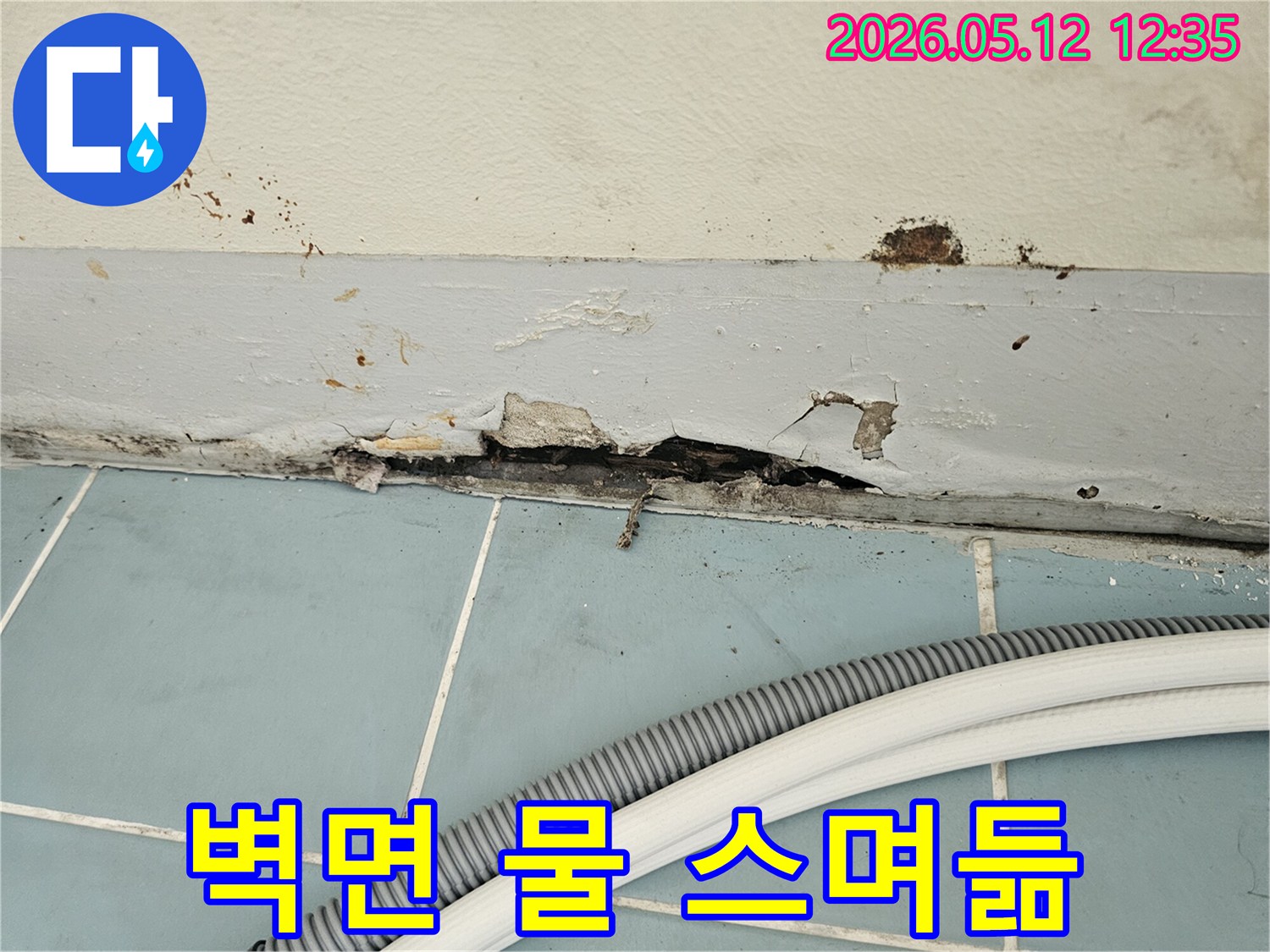 벽과-타일-경계면에서-발생한-심각한-누수-피해로-페인트가-벗겨지고-벽면이-손상된-모습