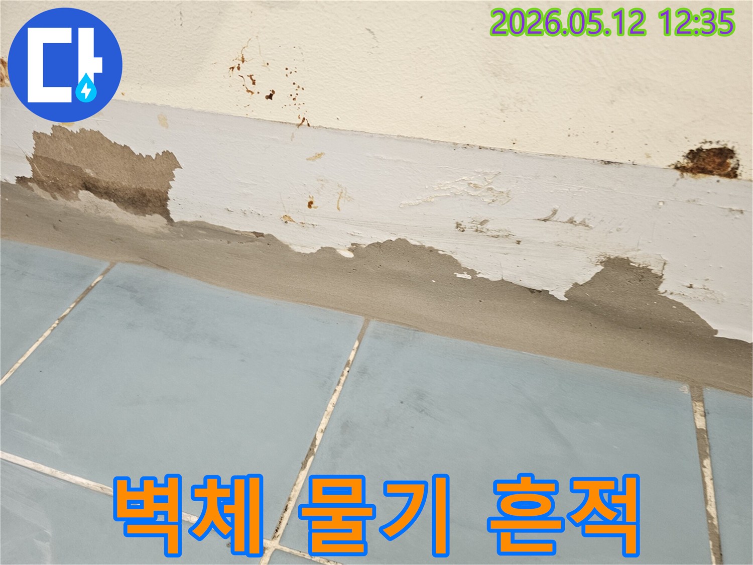 벽면 하단에 생긴-물자국과-페인트 벗겨짐-그리고 곰팡이까지-누수의 전형적인 증상입니다