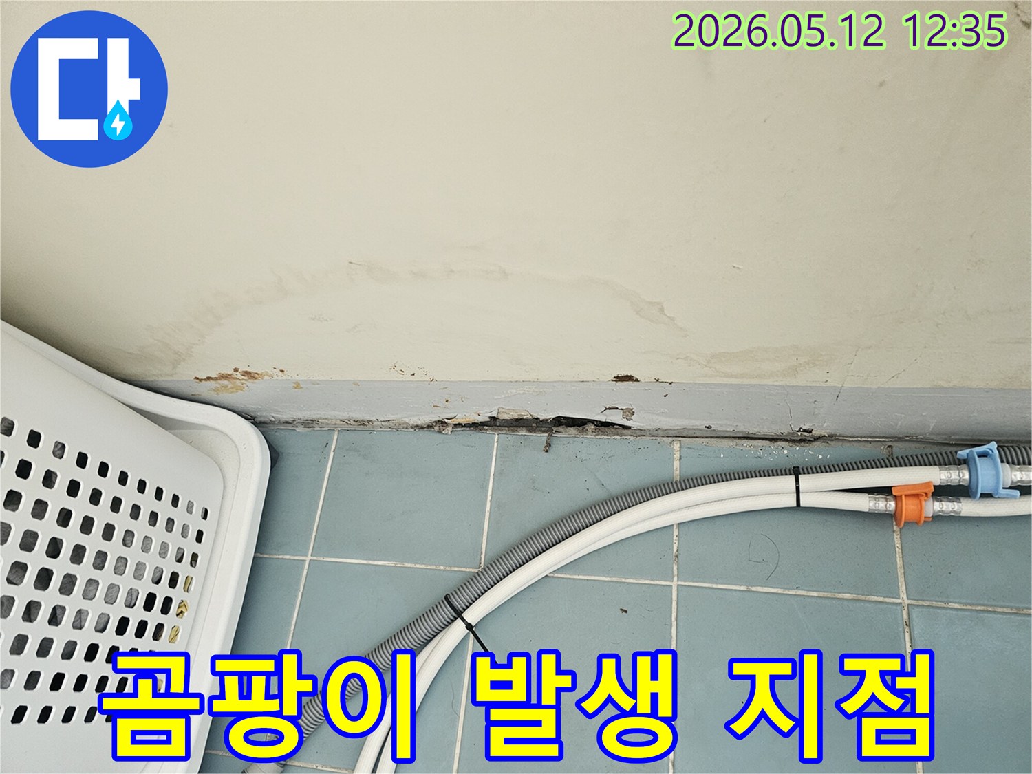 세탁실 벽면 하단에 발생한 물기-벽지 변색과 곰팡이-배수 호스 주변의 습기 흔적