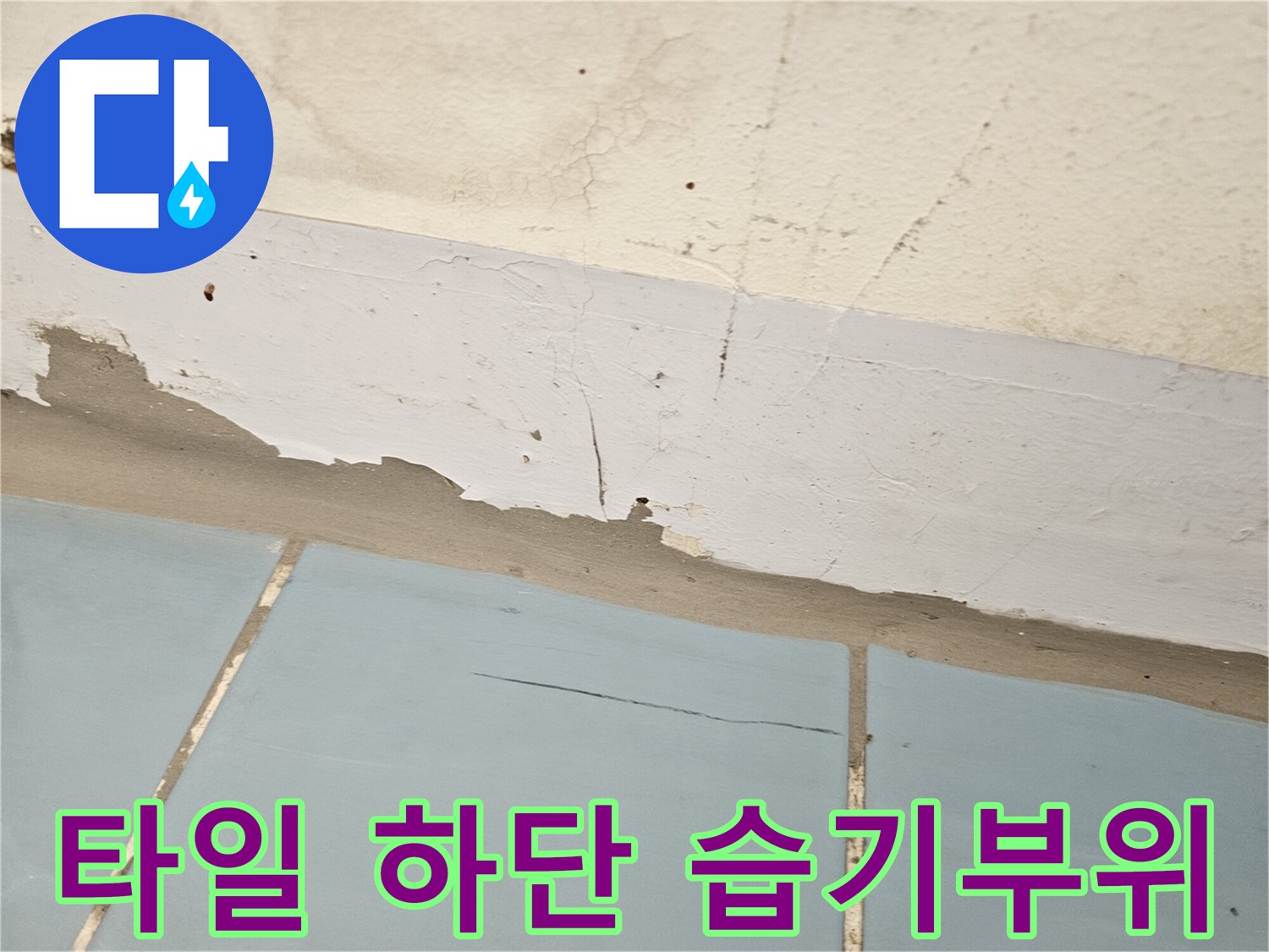 세탁실 타일-벽면 경계의 젖은 얼룩과 습윤 상태