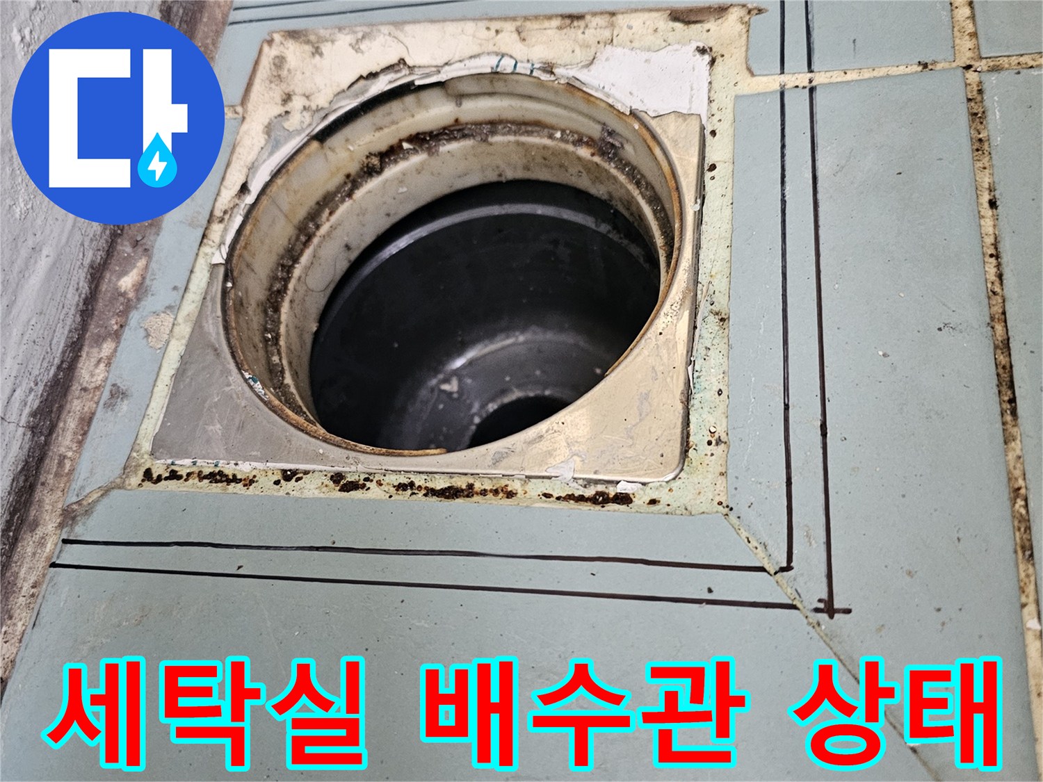 수원-영통구-세탁실-배수구-주변-누수-부위-확인