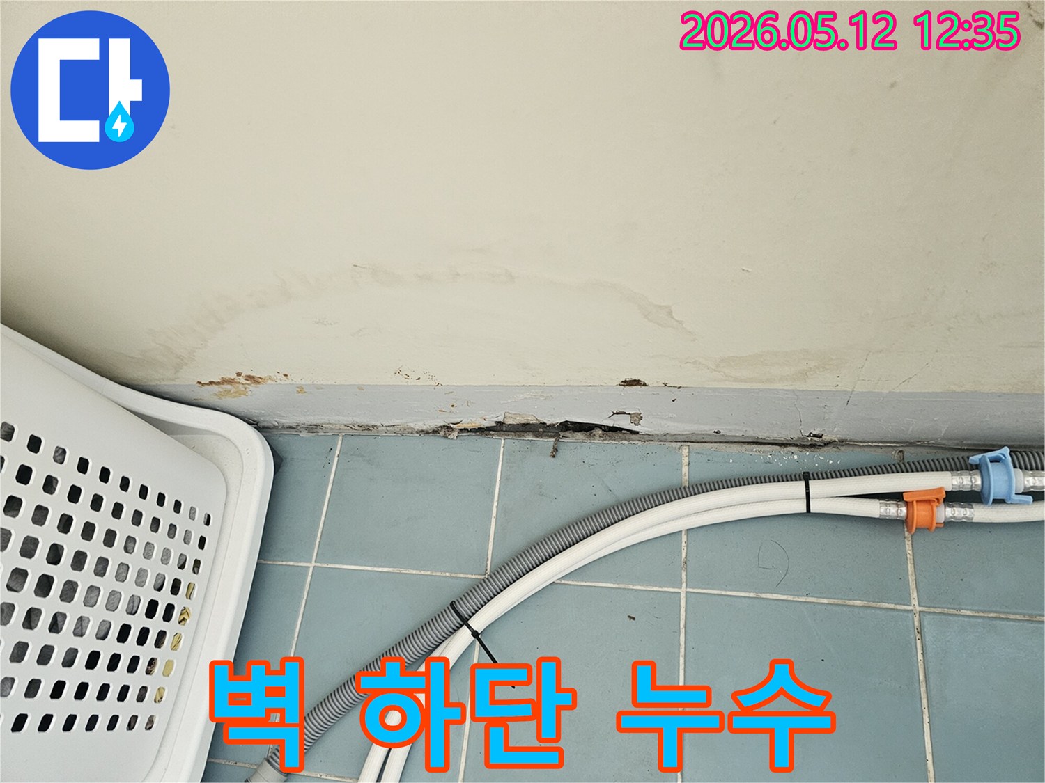 아파트 벽 하단에 스며든 물기로 인한 벽지 손상-곰팡이 발생-세탁기 배수 호스 근처
